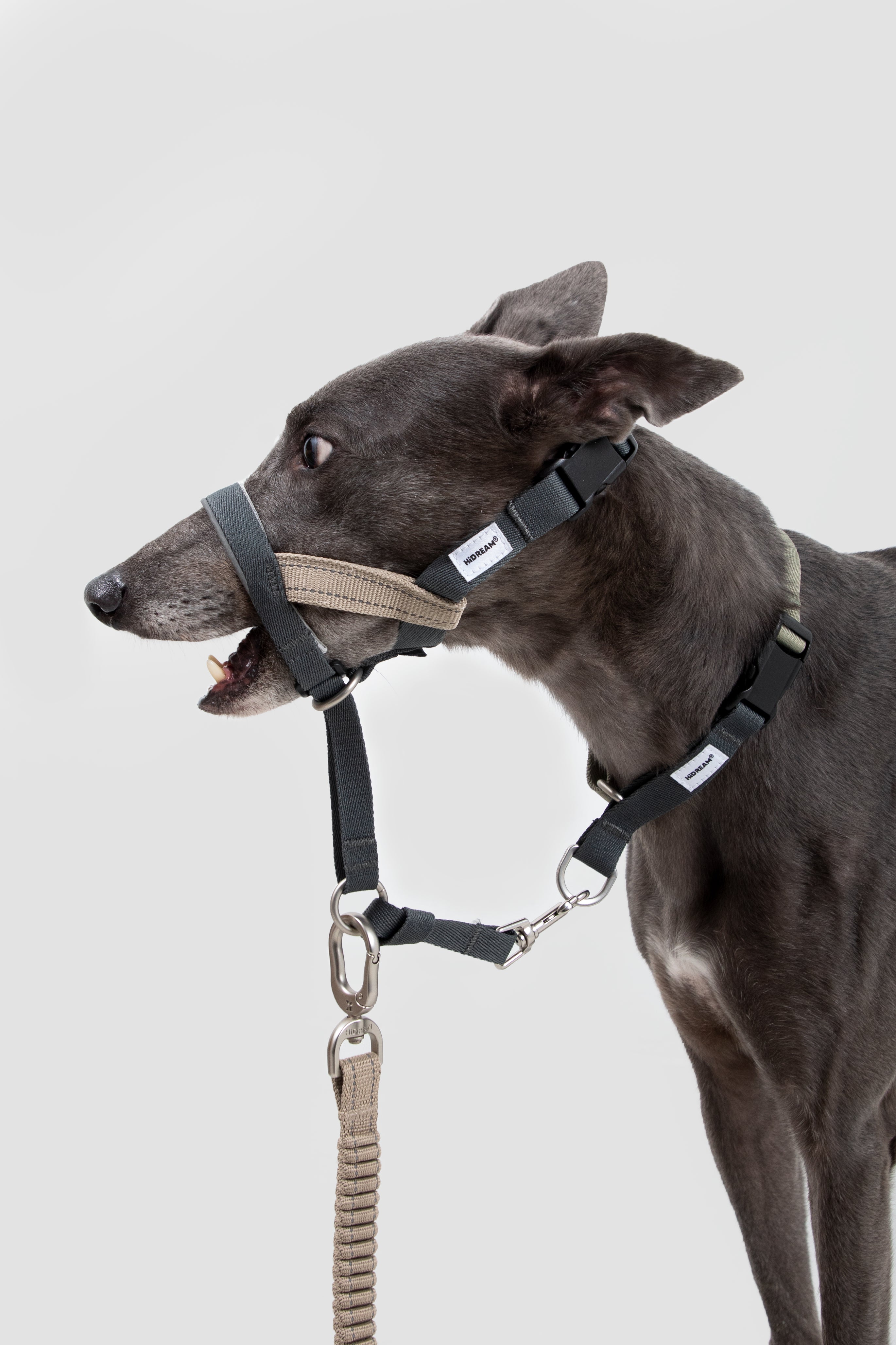 Control Dog Head Collar