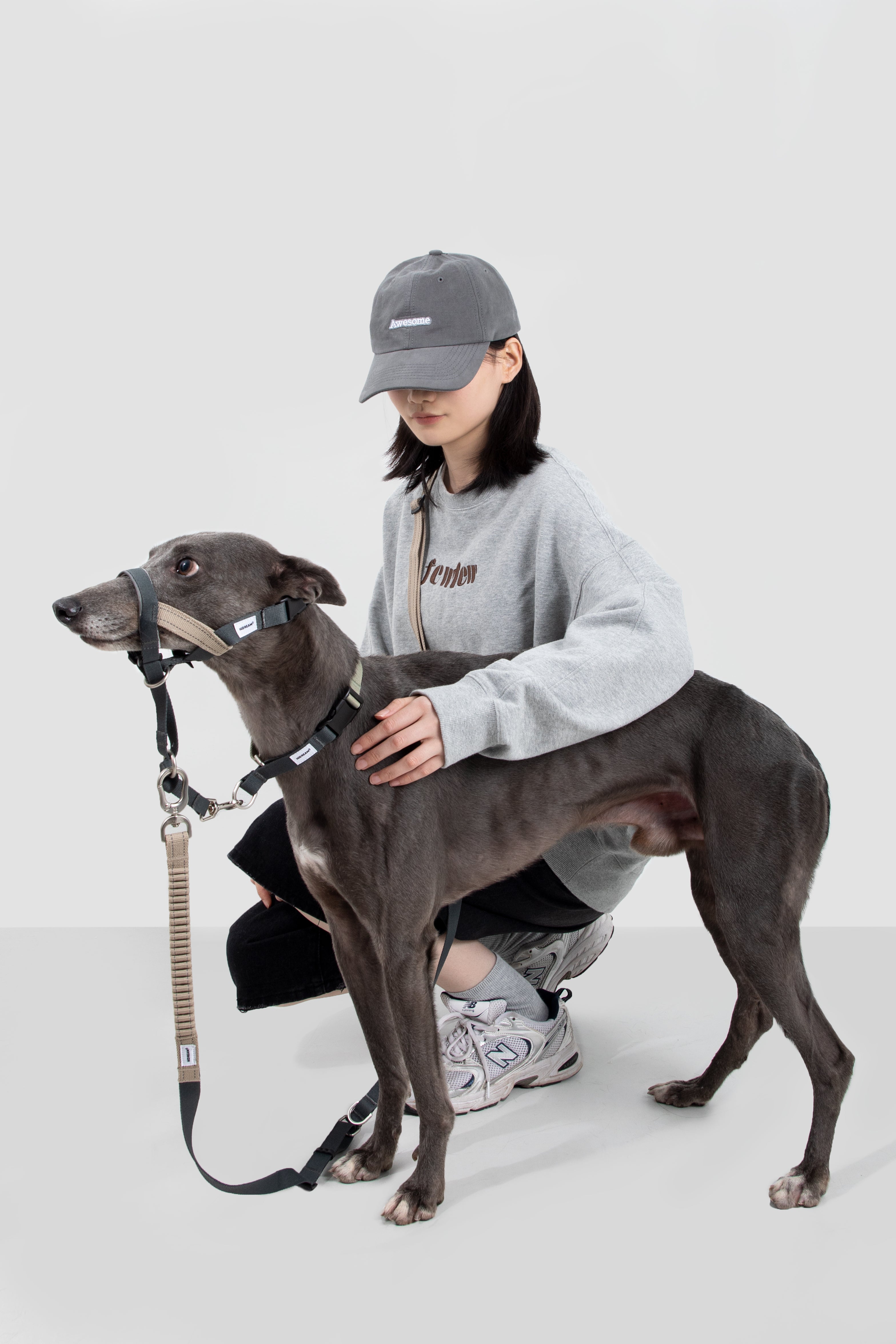 Control Dog Head Collar