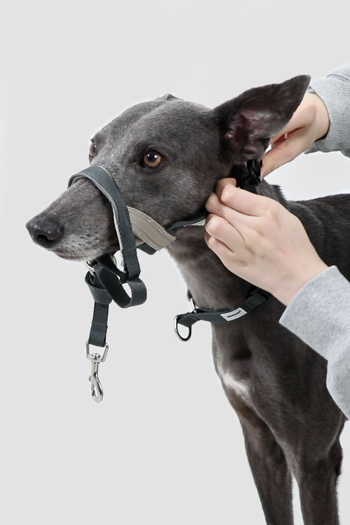 Control Dog Head Collar