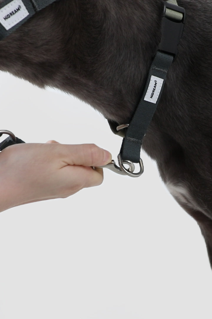 Control Dog Head Collar