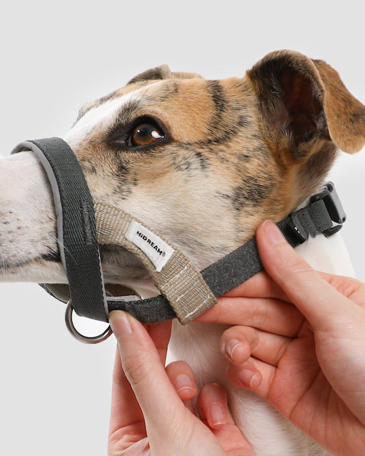 Multi-Function Training Dog Head Collar