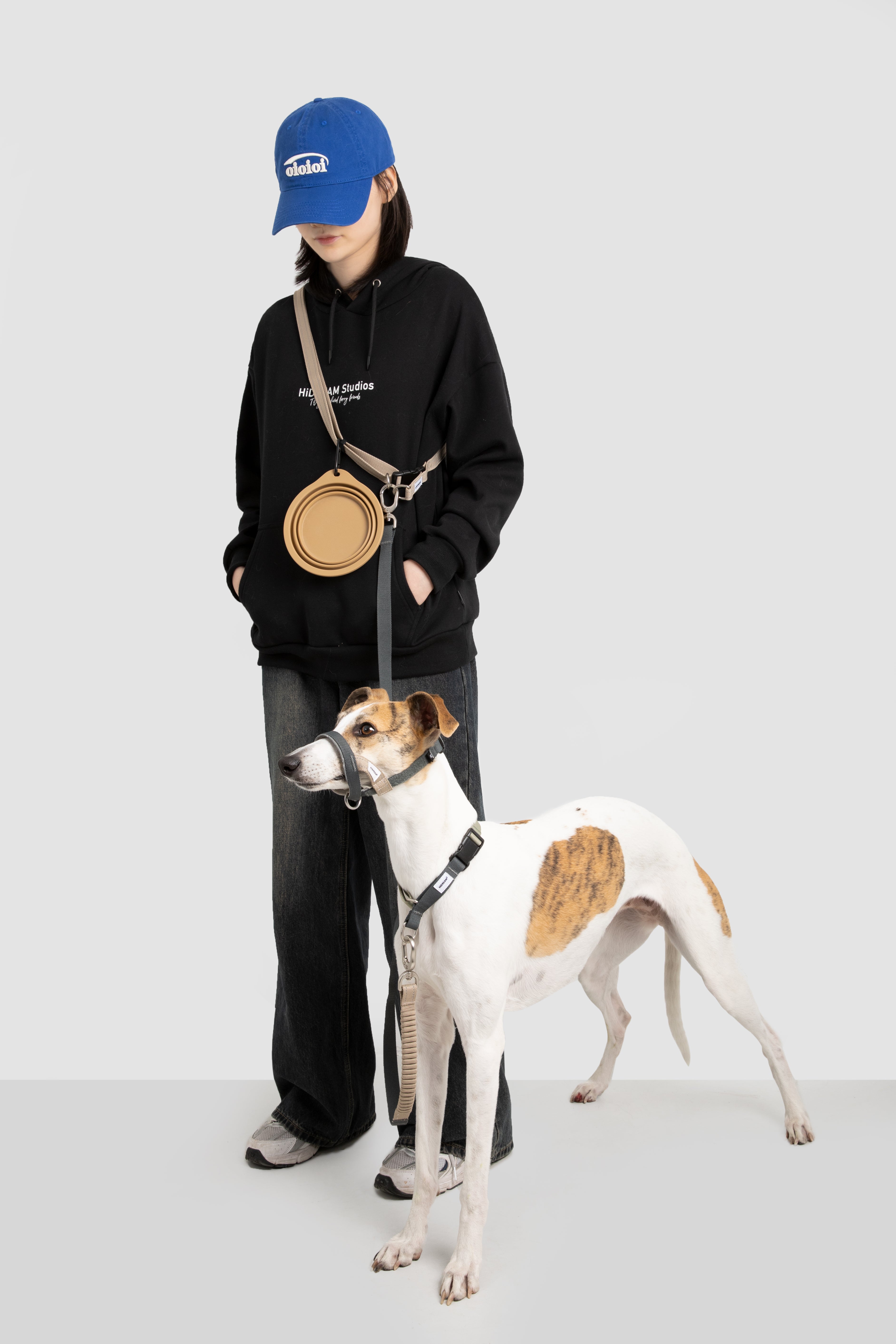 Multi-Function Training Dog Head Collar