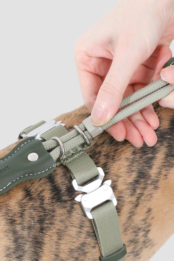 Leather Round Rope Dog Harness