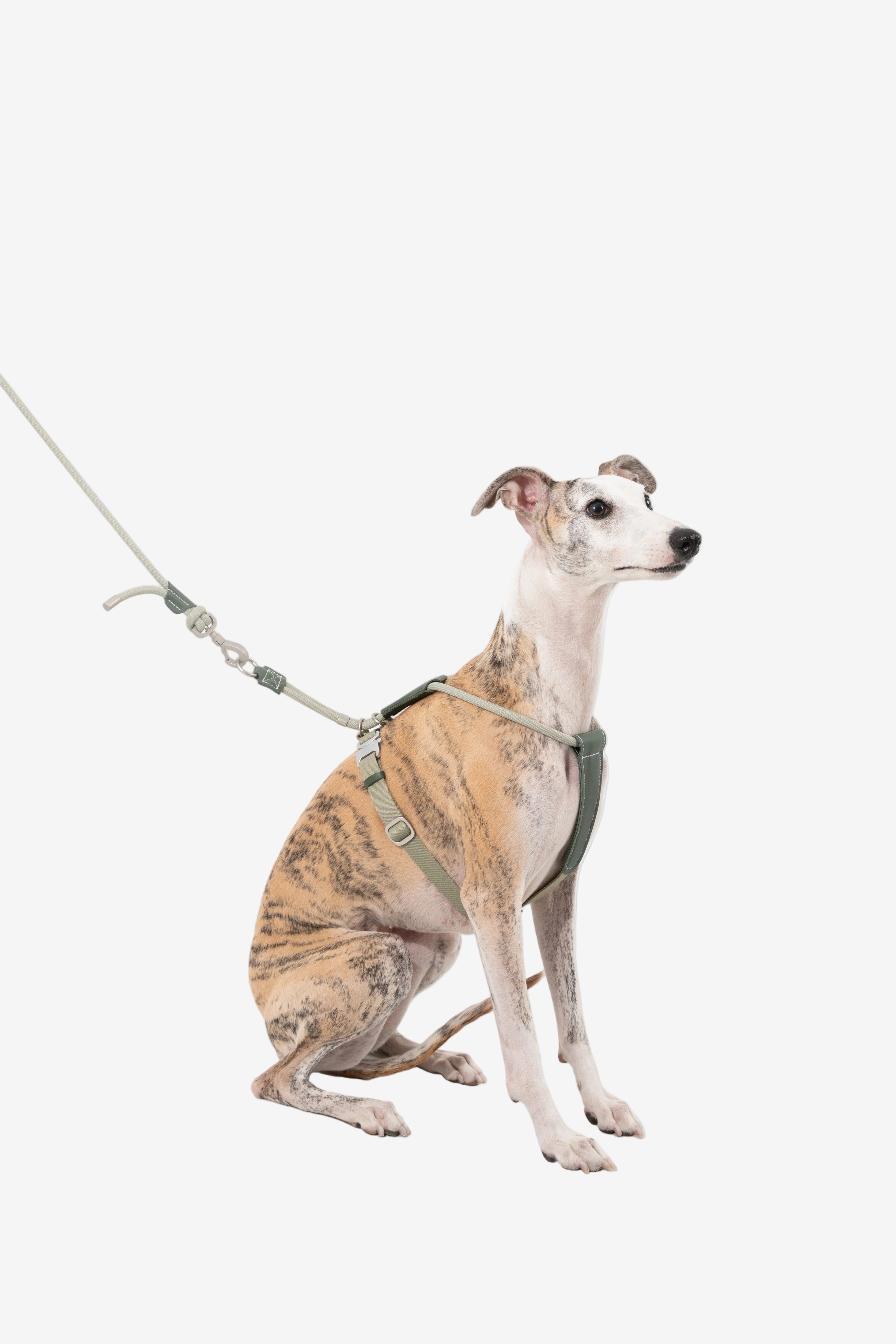 Leather Round Rope Dog Leash