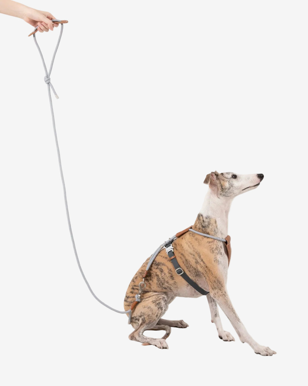 Leather Round Rope Dog Leash