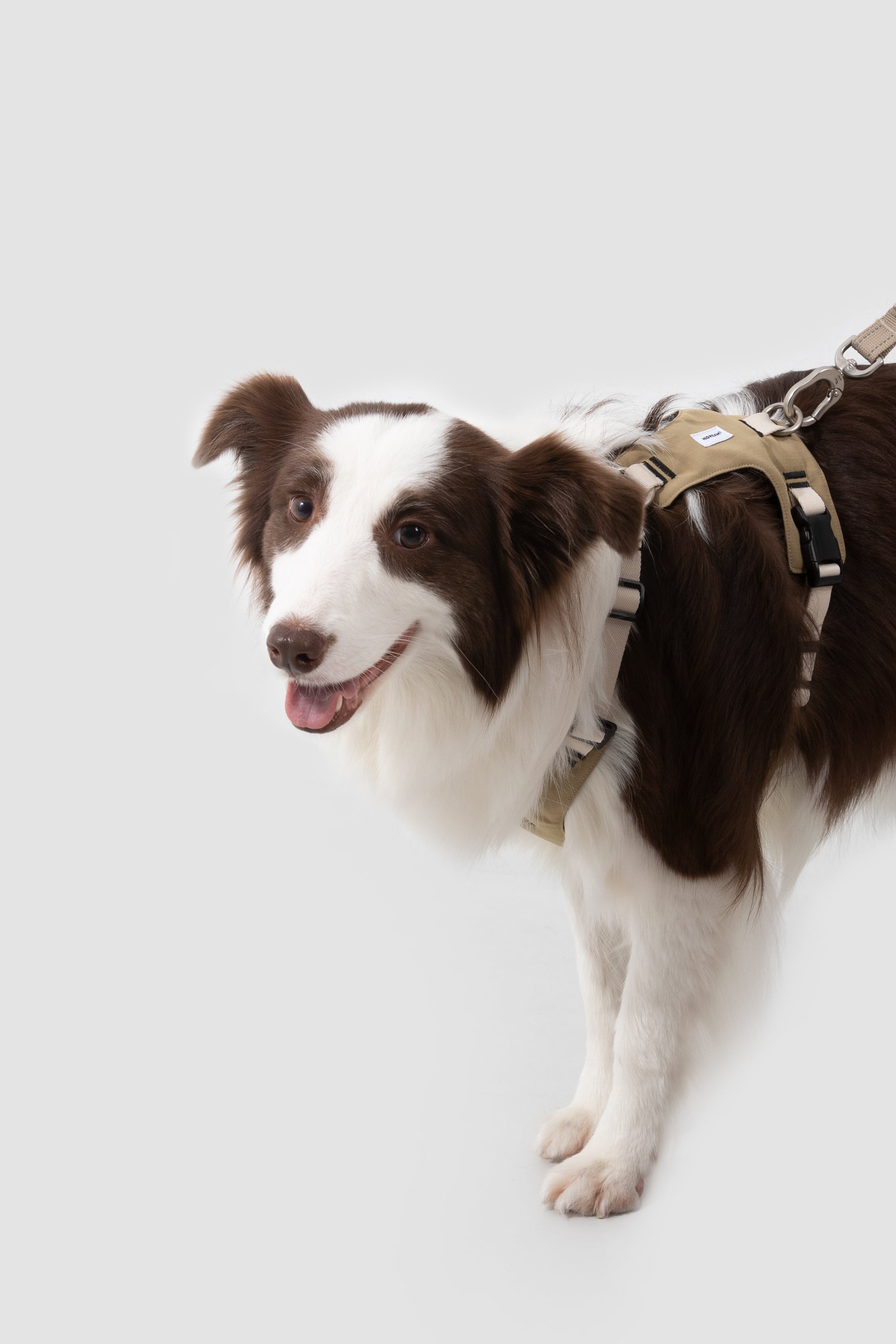 Comfort Sport Dog Harness - Clay Beige