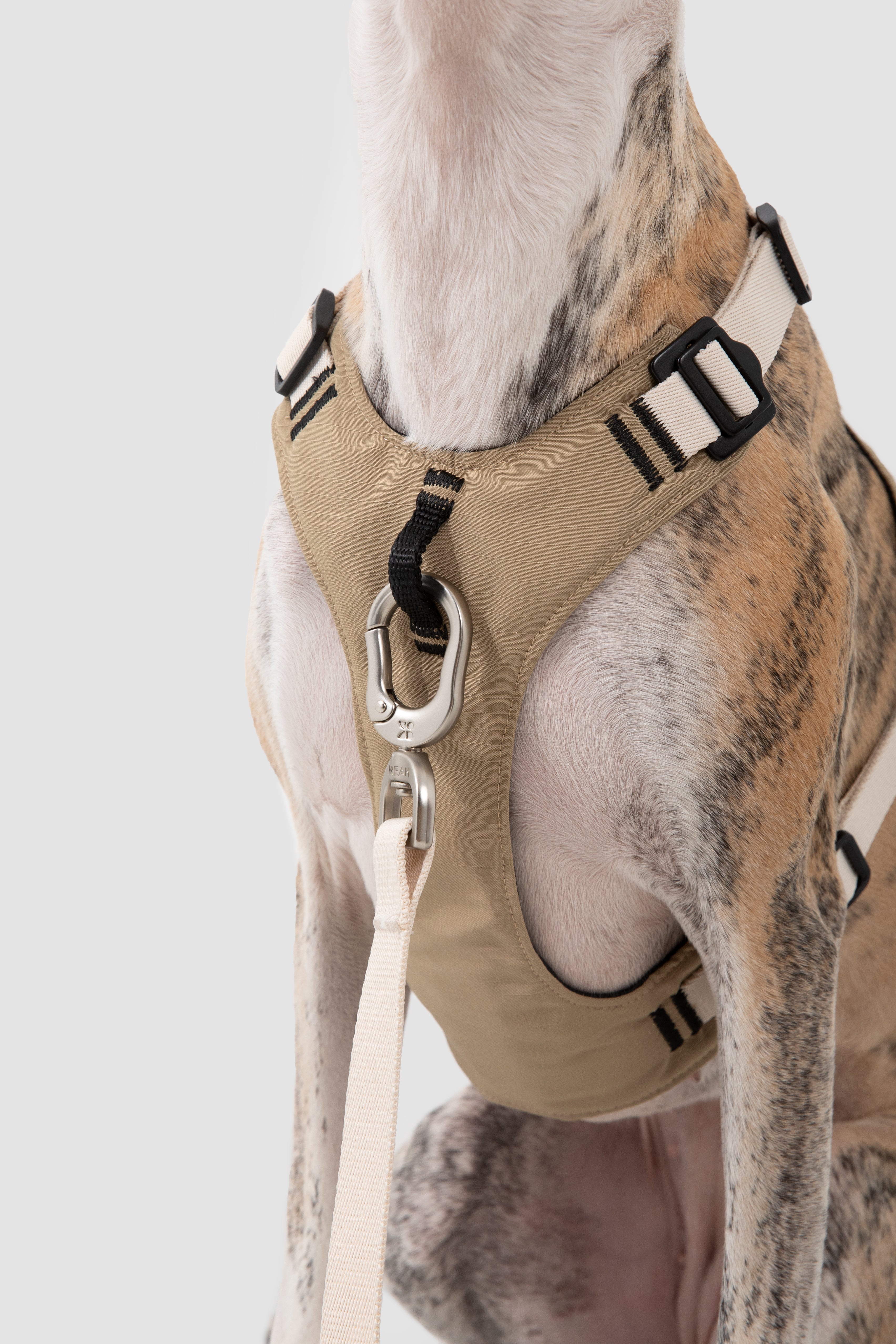 Comfort Sport Dog Harness - Clay Beige
