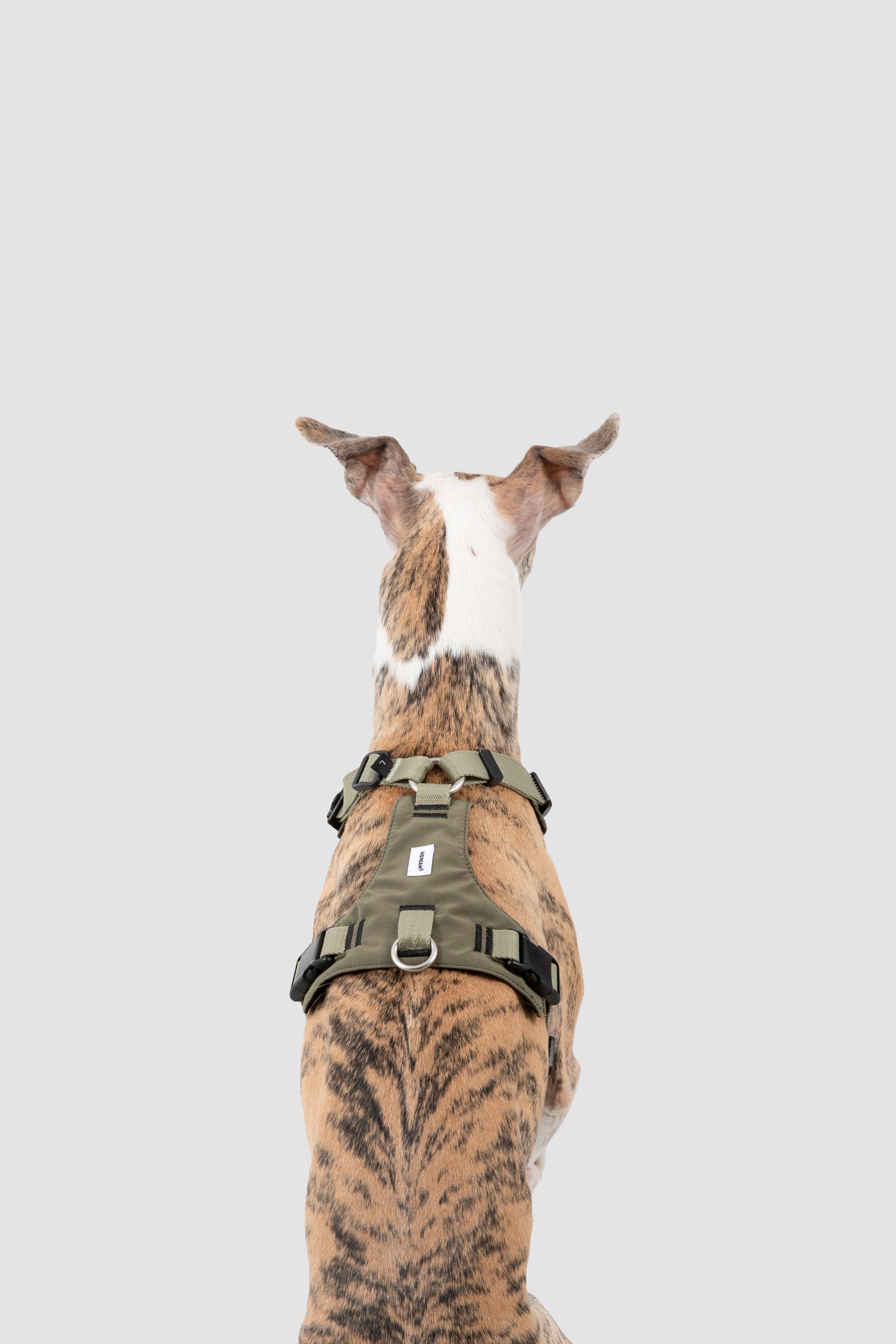 Comfort Sport Dog Harness