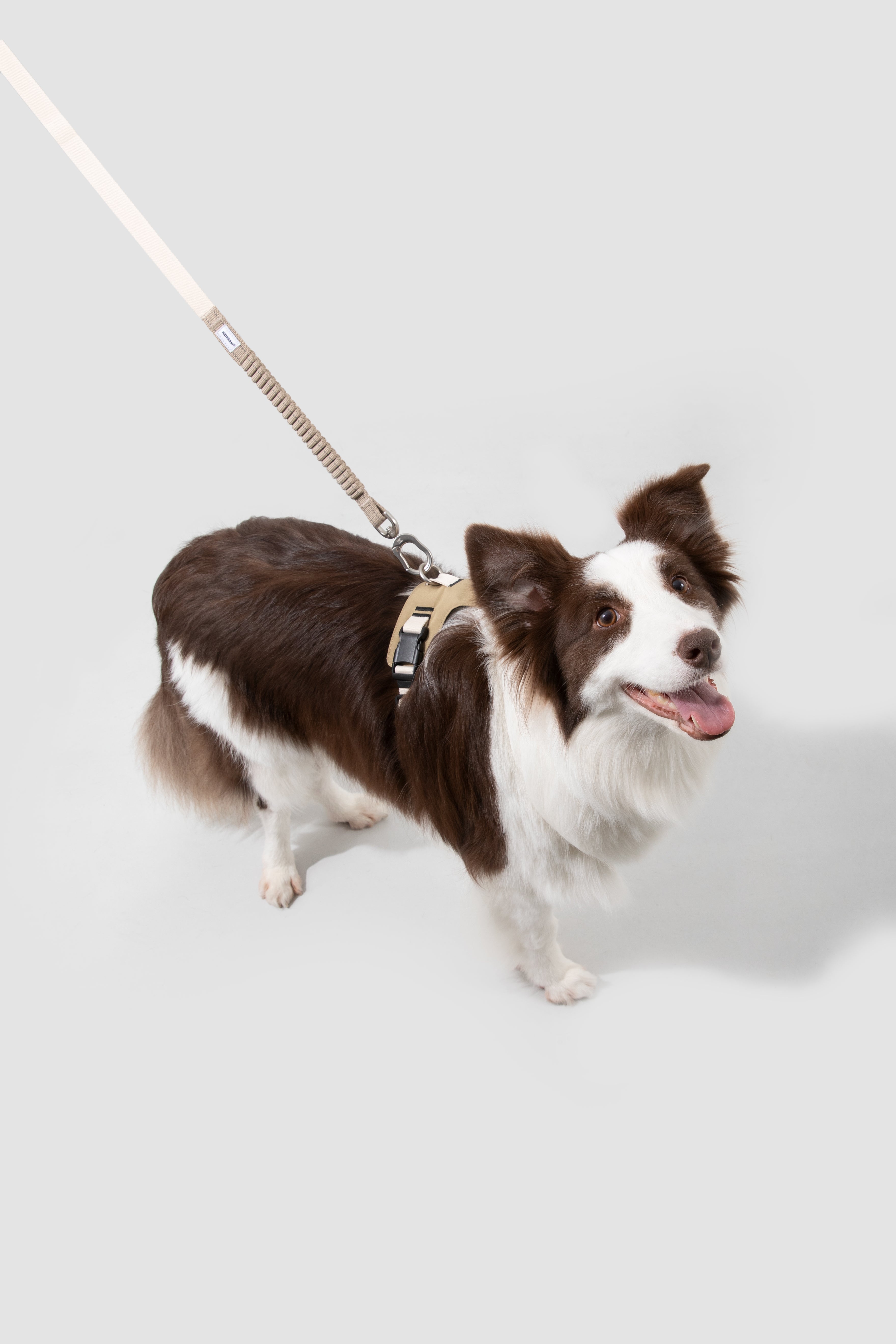 Comfort Sport Dog Harness - Clay Beige