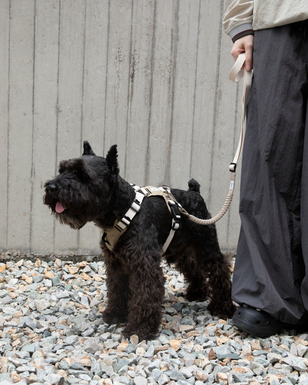 Comfort Sport Dog Harness - Clay Beige