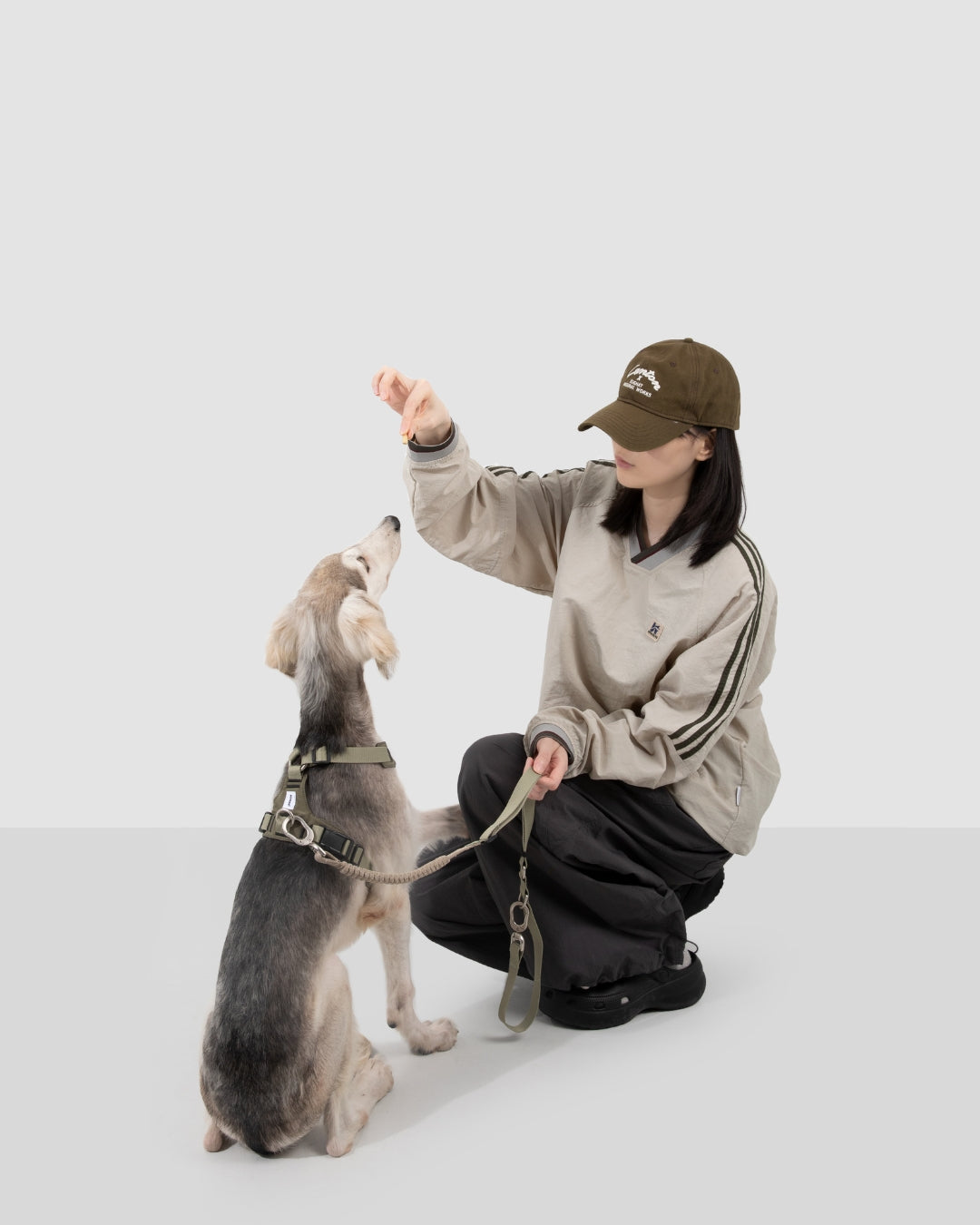 Comfort Sport Dog Harness - Olive Green