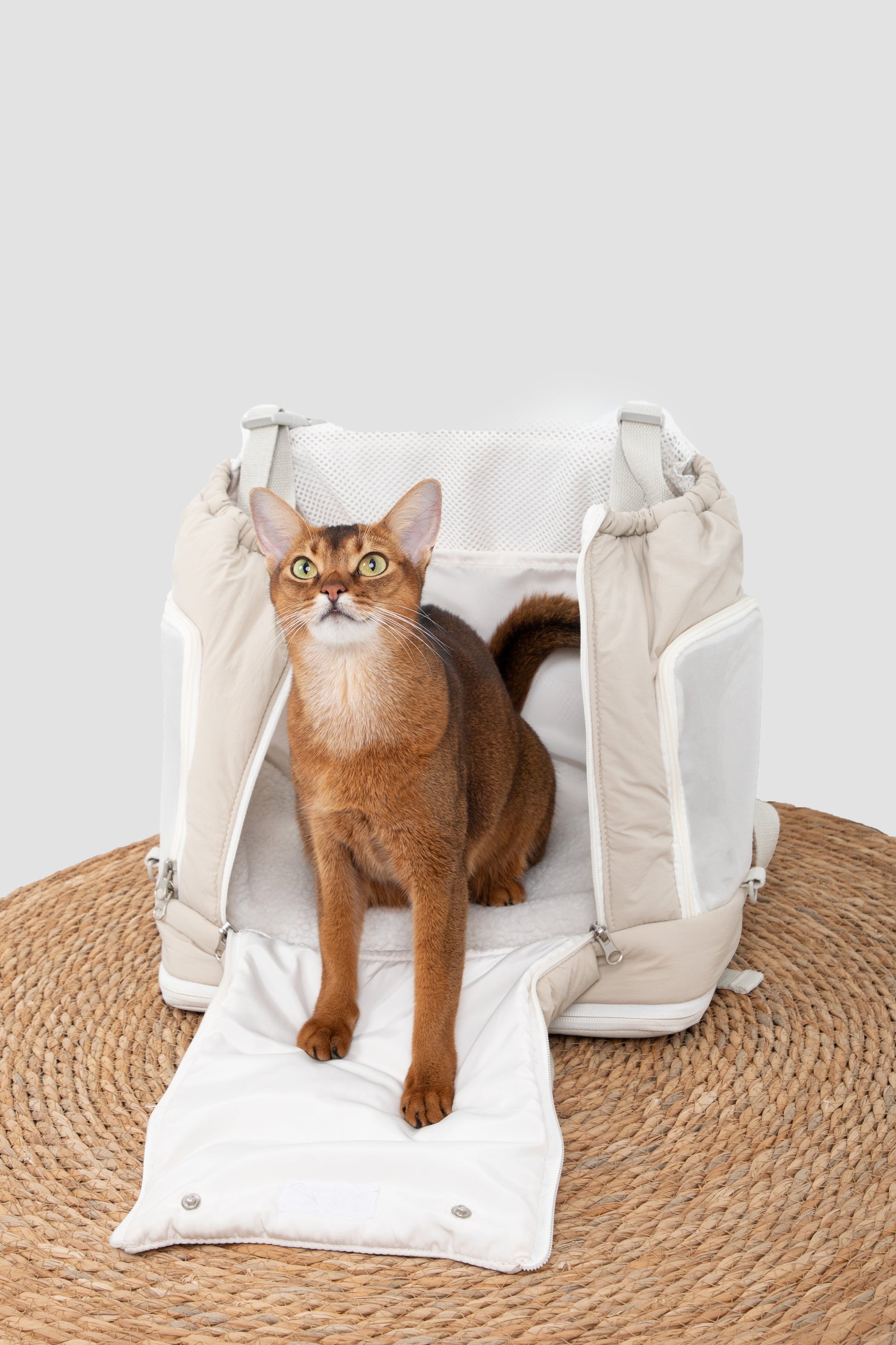 Soft Toast Front-Chest Pet Carrier Bag