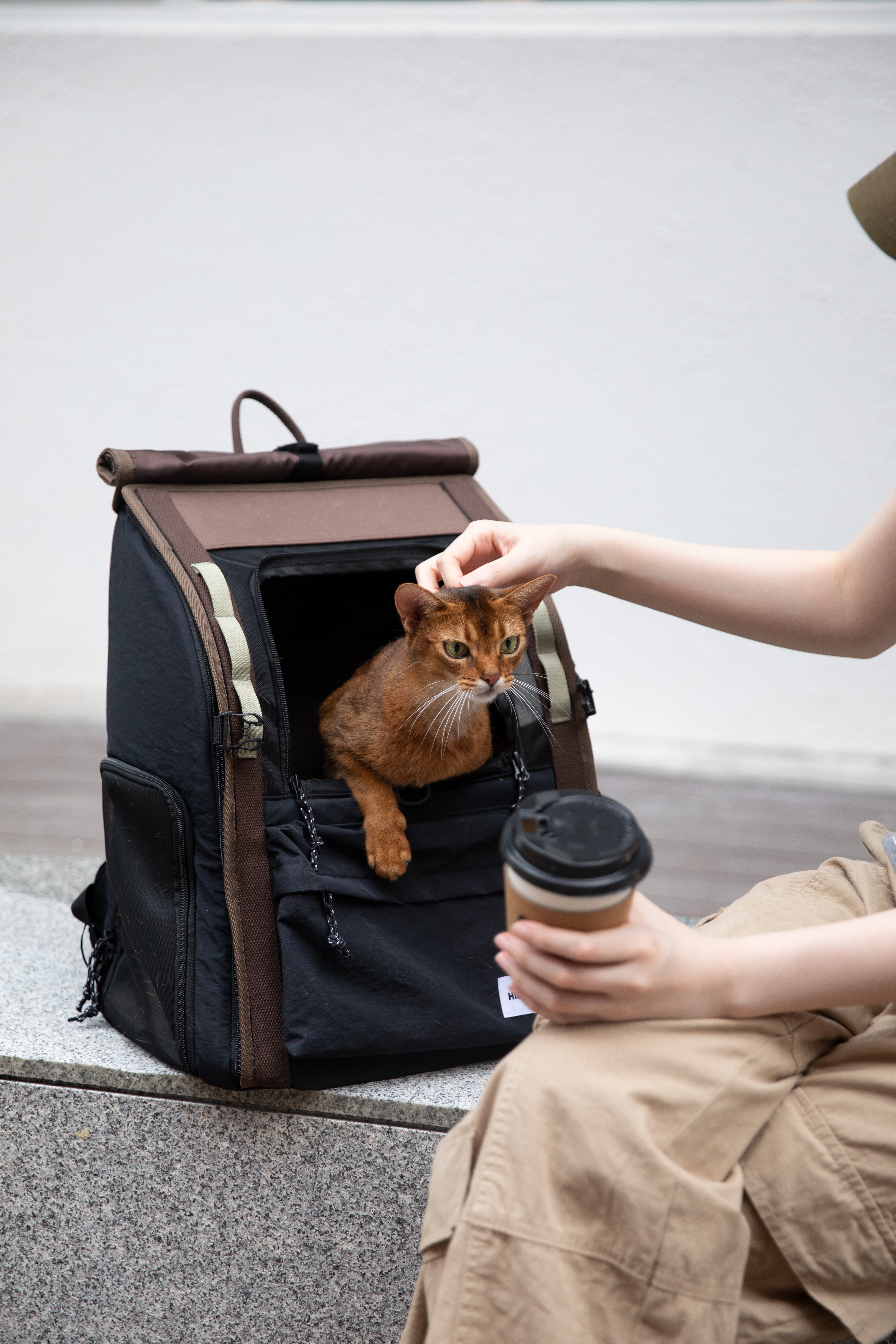 Urban Explorer Pet Backpack - Obsidian Black