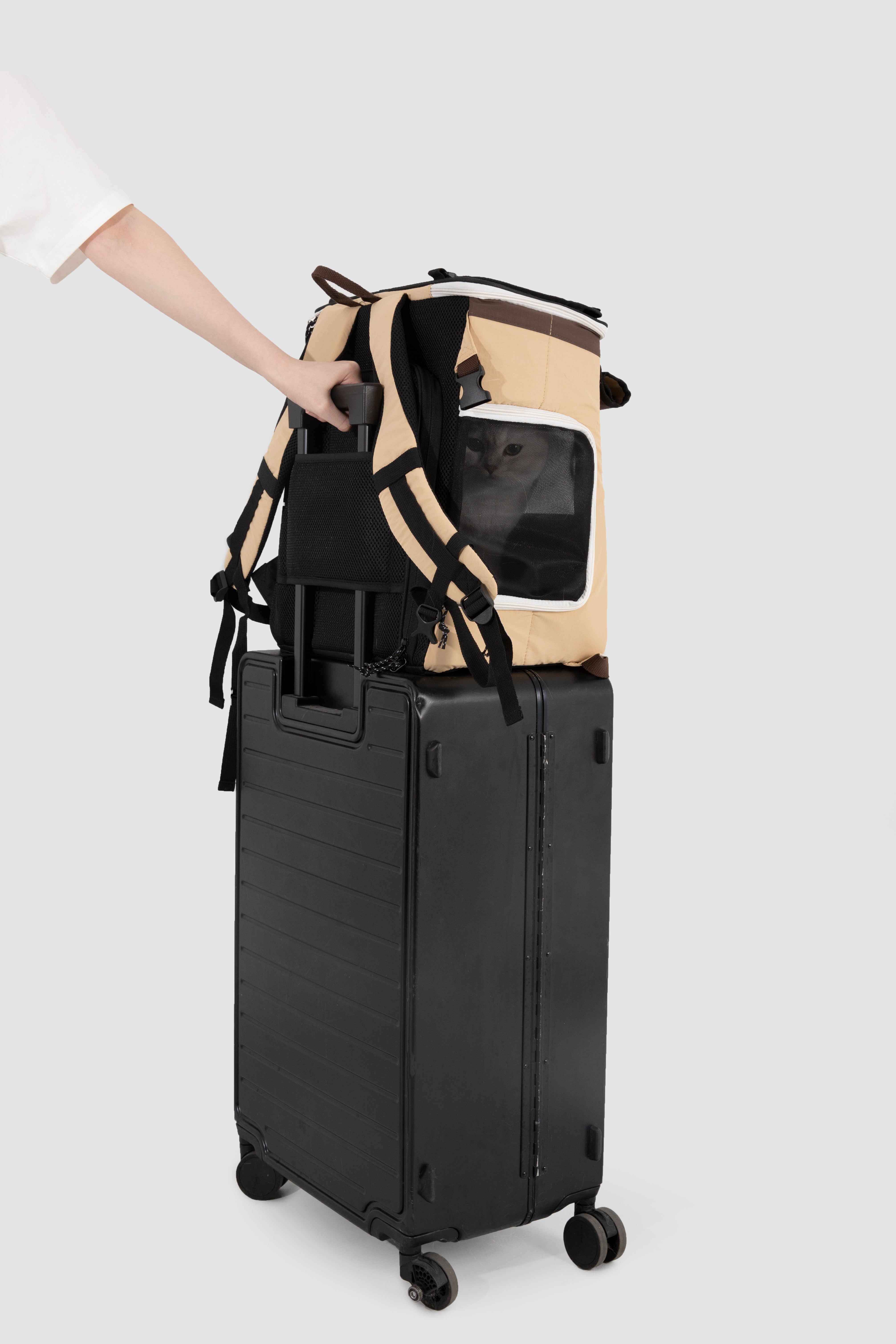 Nomad Pet Tent Backpack
