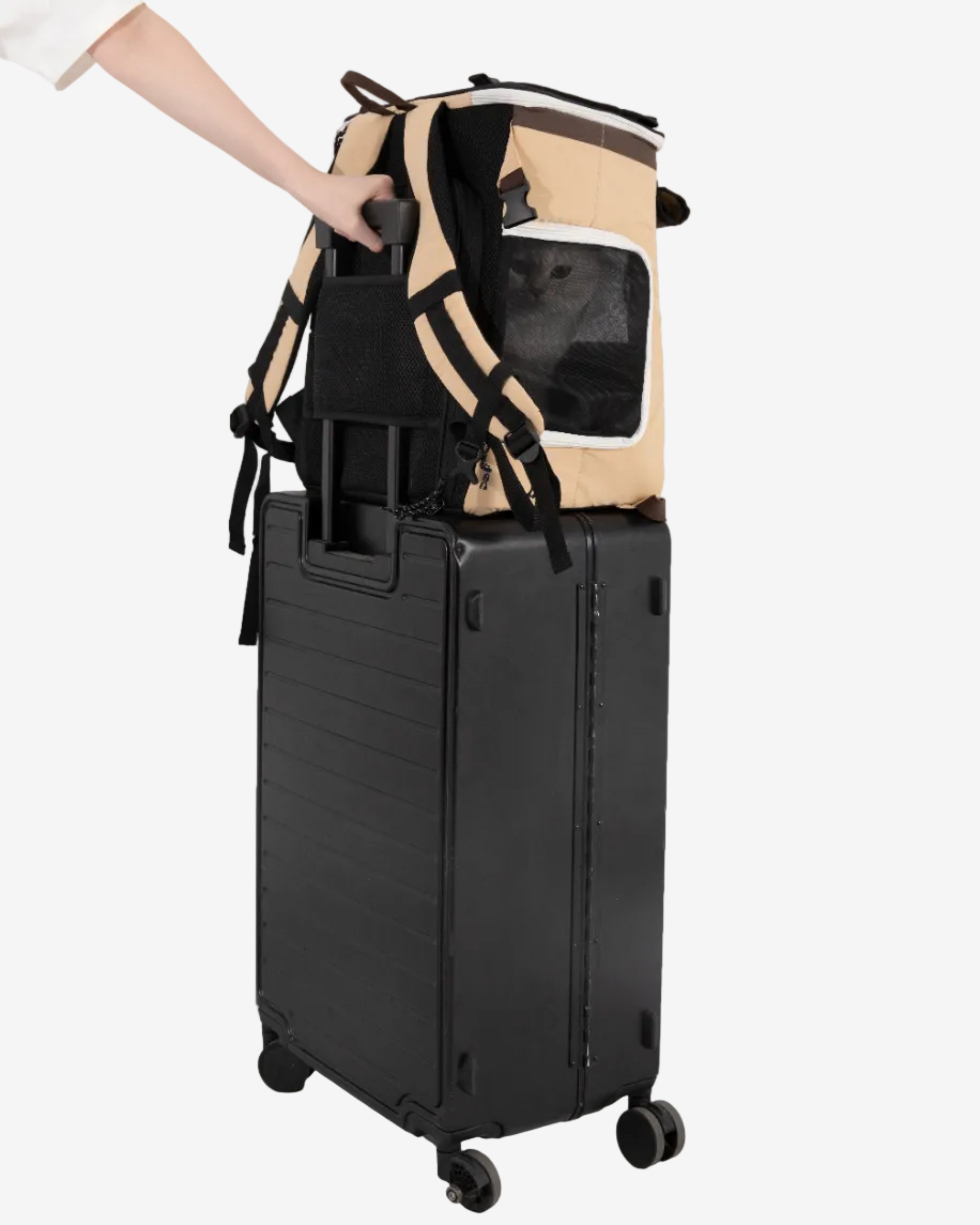 Nomad Pet Tent Backpack