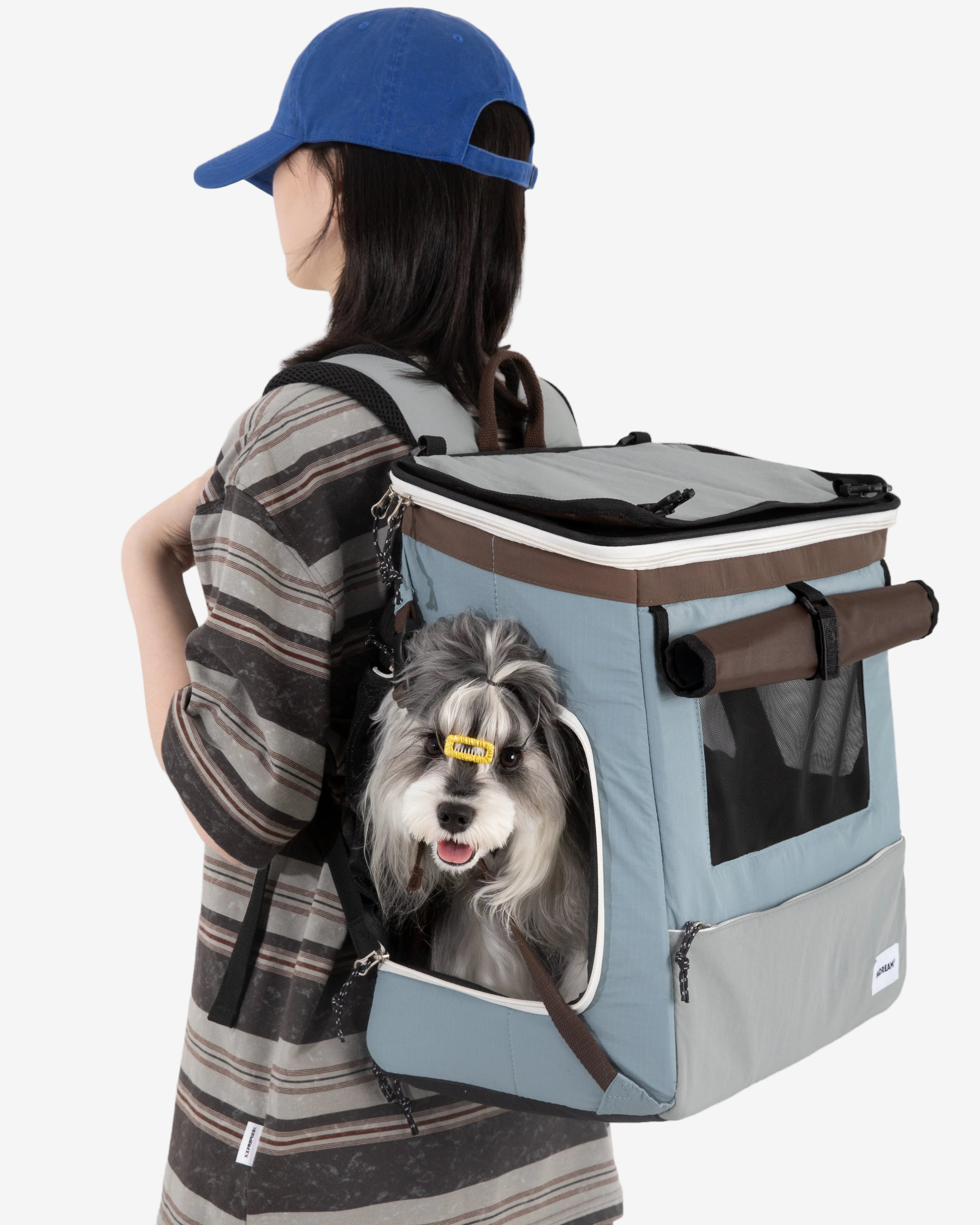 Person carrying a pet carrier with a dog inside on a plain background