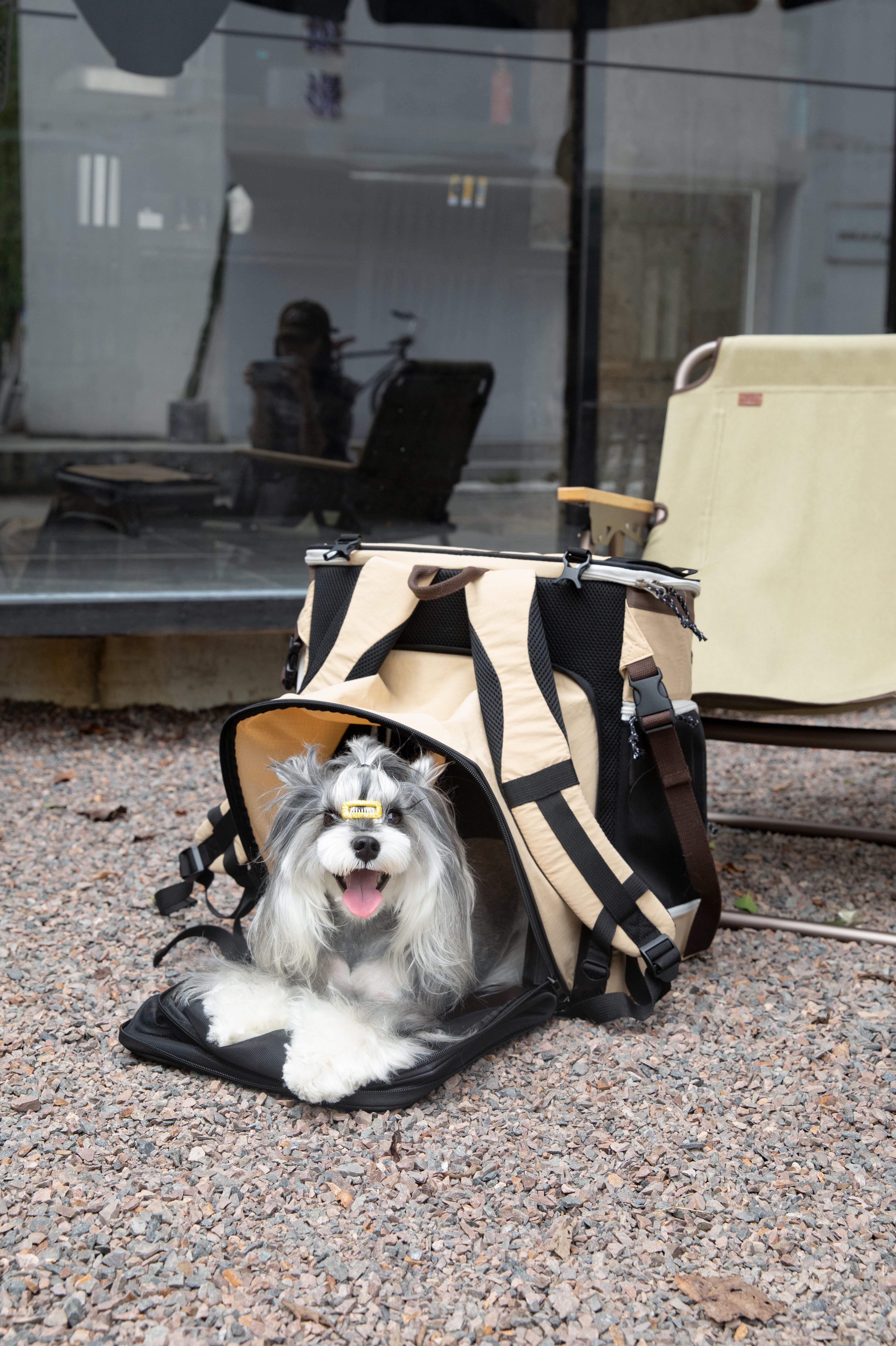 Nomad Pet Tent Backpack - Eggshell Brown