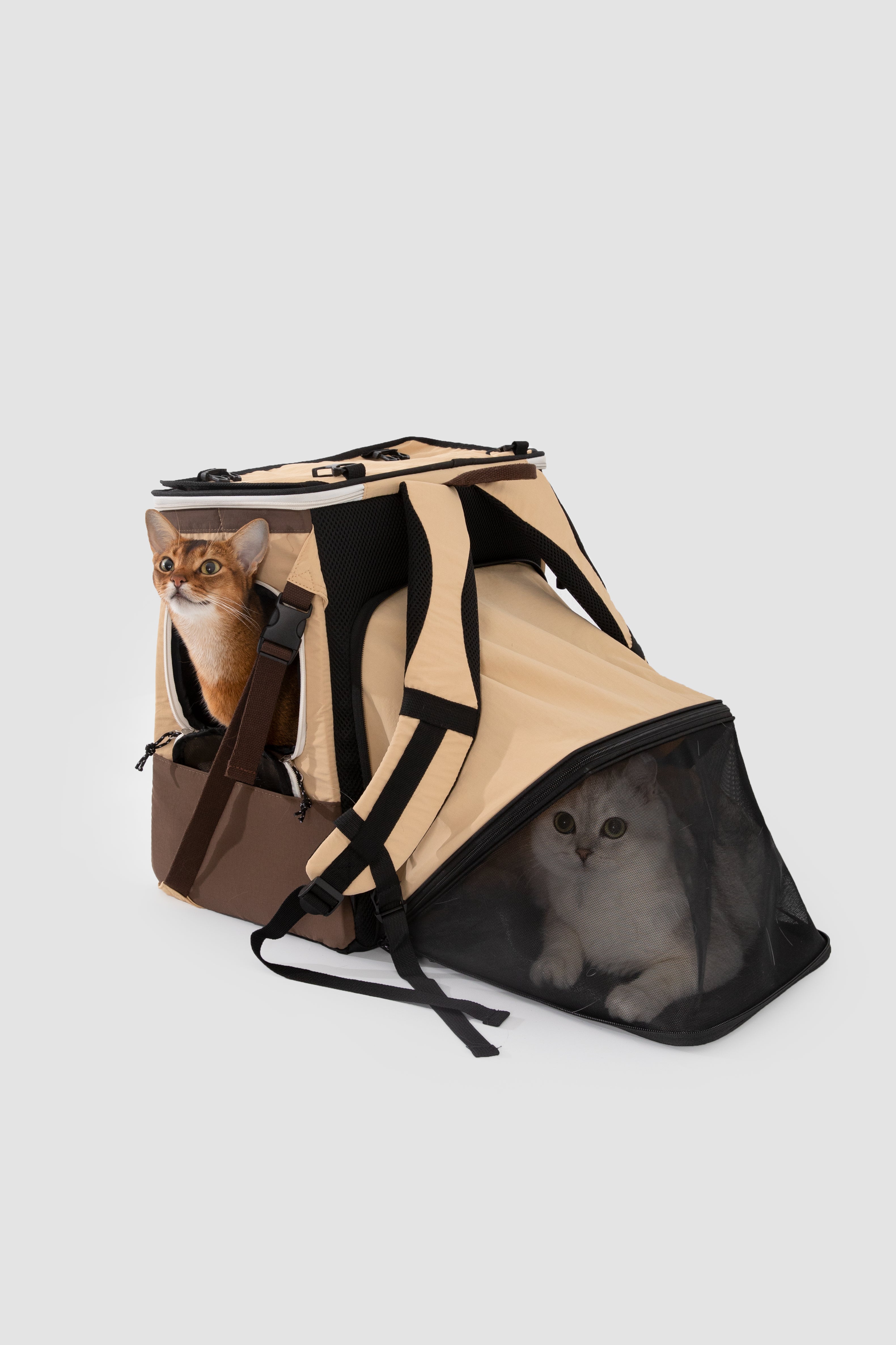 Nomad Pet Tent Backpack