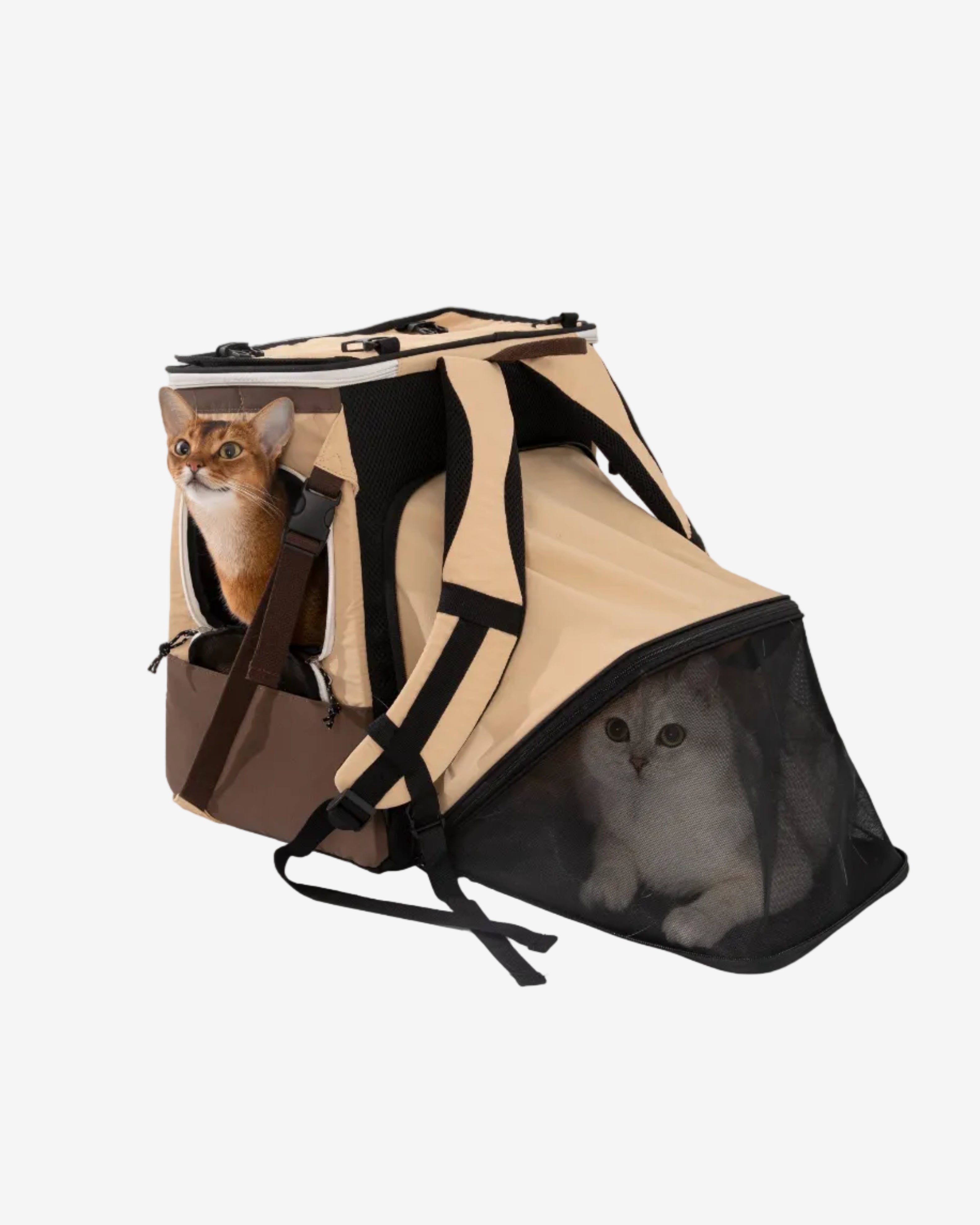 Nomad Pet Tent Backpack - Eggshell Brown