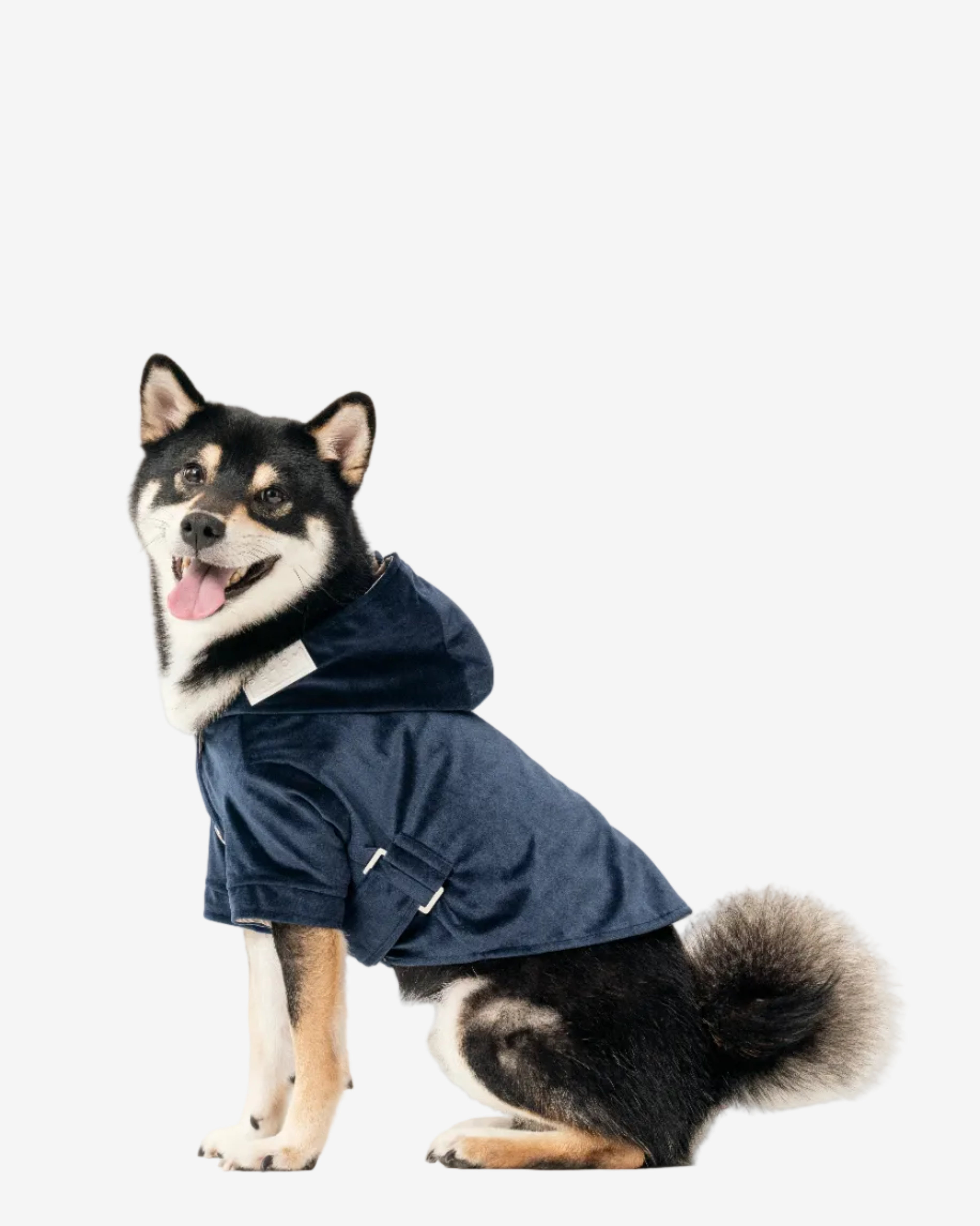 Huston Pet Hoodie