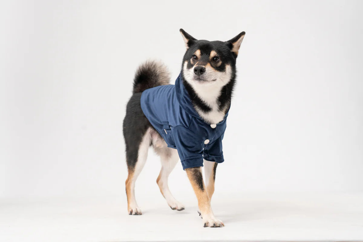 Huston Pet Hoodie
