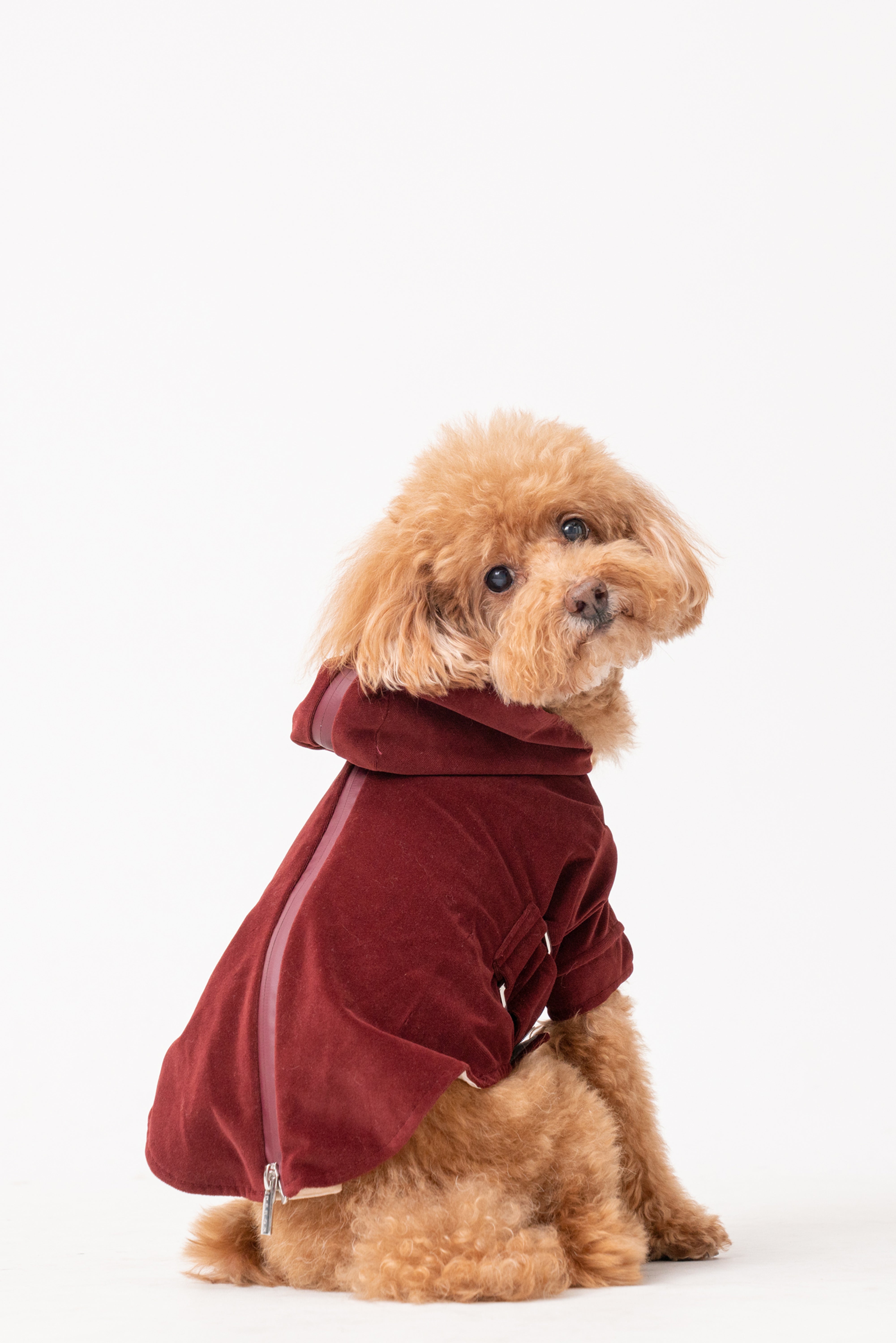 Huston Pet Hoodie