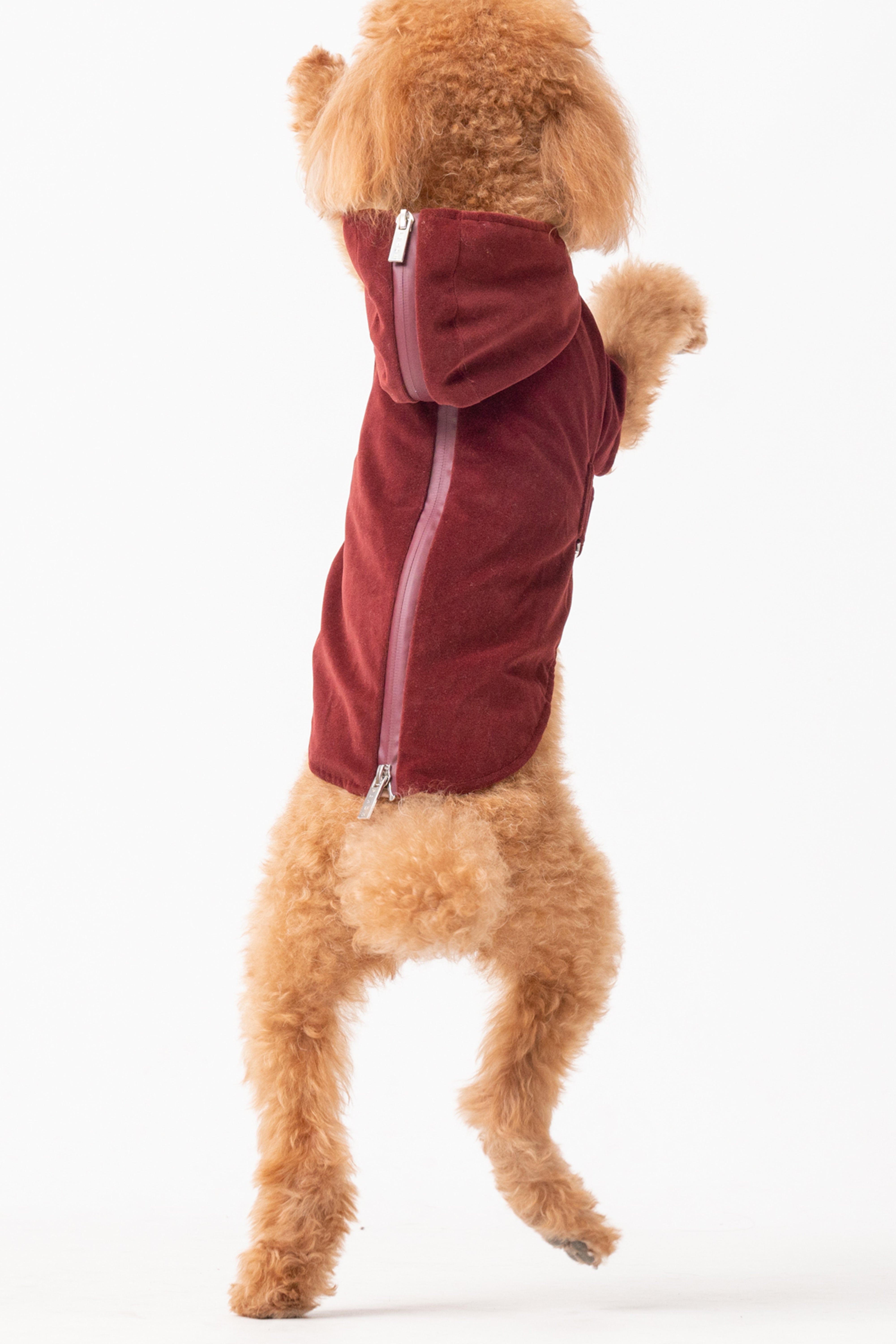 Huston Pet Hoodie