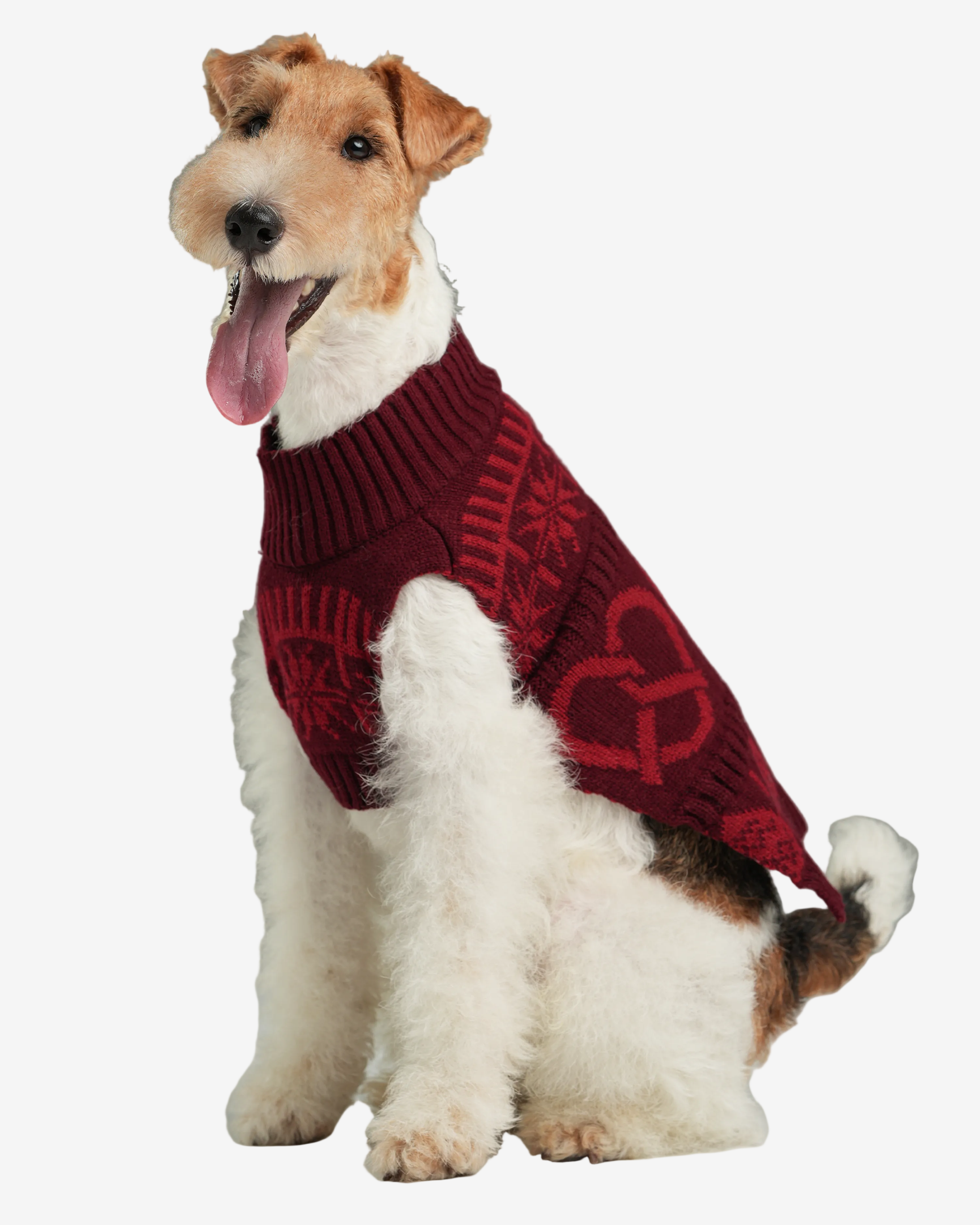 Dog wearing a red sweater with a festive pattern on a gray background