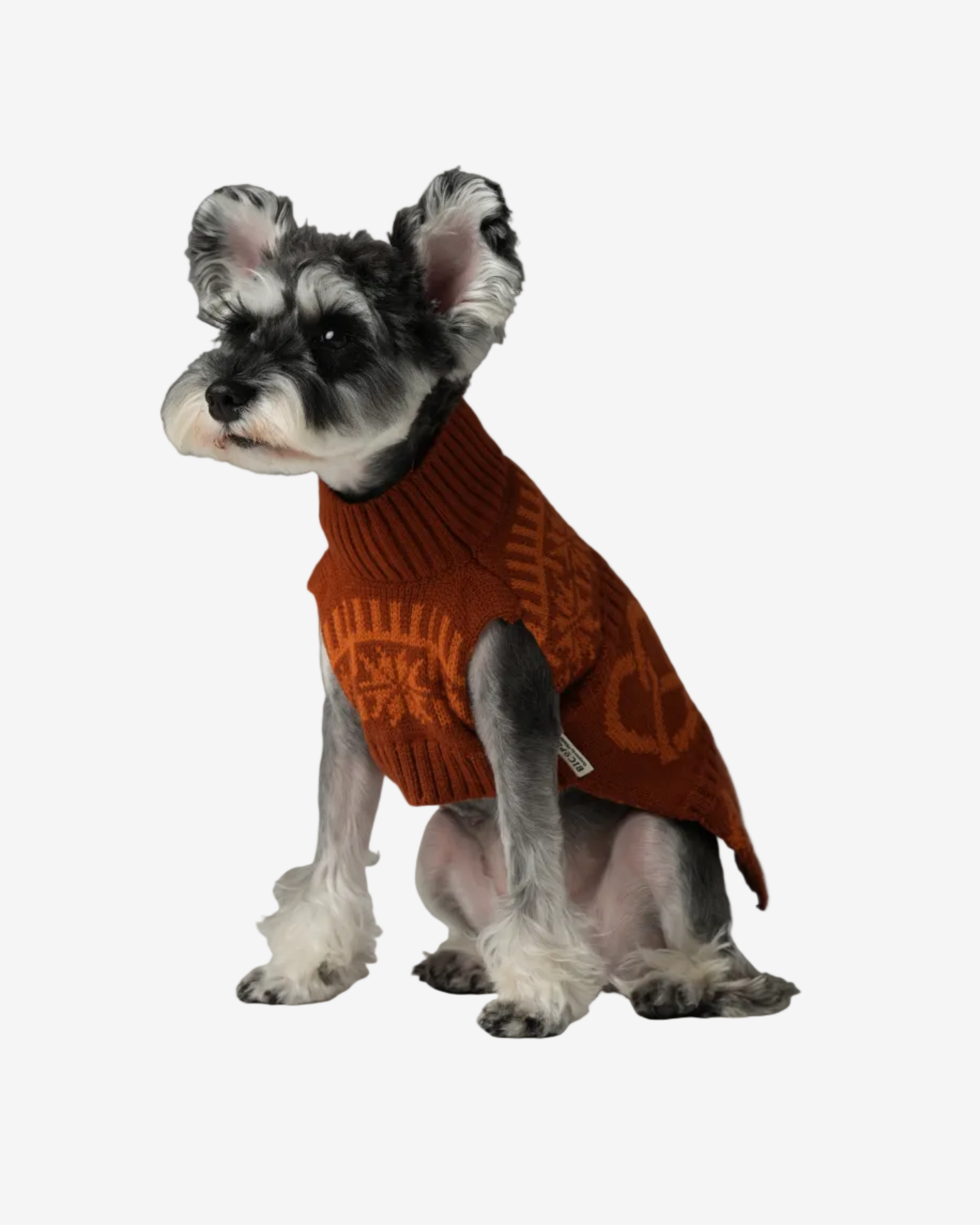 Pretzel Pet Sweater - Orange