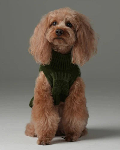 Pretzel Pet Sweater - Olive Green