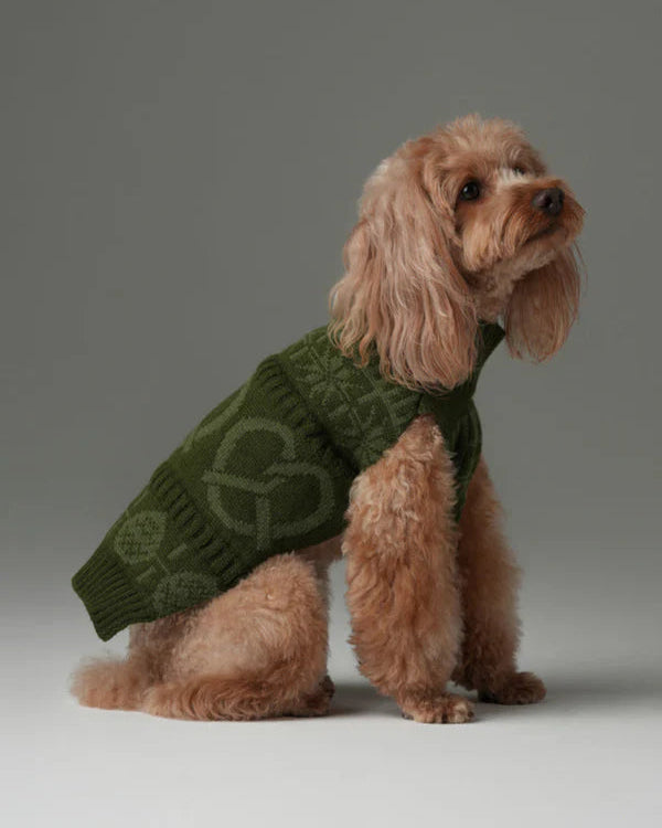 Pretzel Pet Sweater - Olive Green