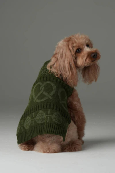 Pretzel Pet Sweater