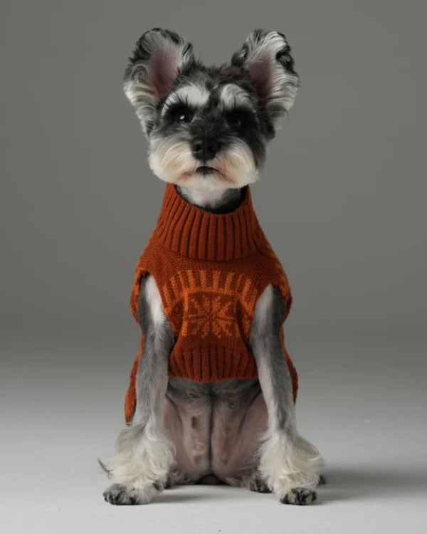 Pretzel Pet Sweater - Orange