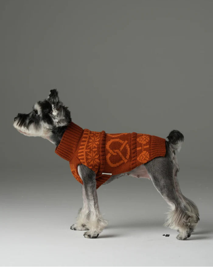 Pretzel Pet Sweater - Orange