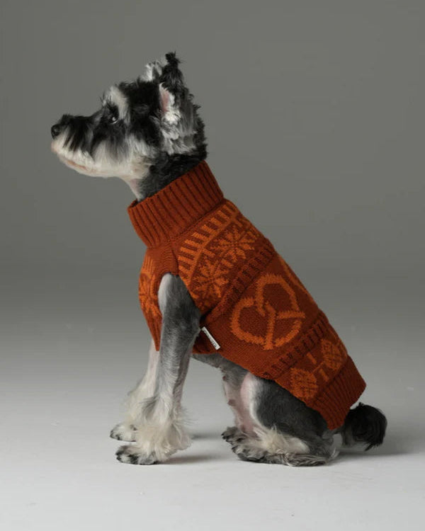 Pretzel Pet Sweater - Orange