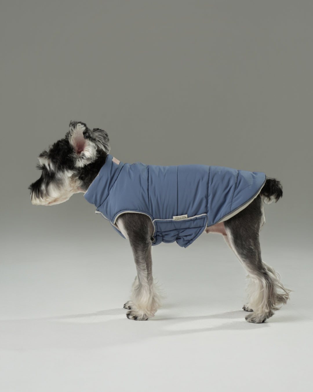 Reversible Dog Vest Jacket - Blue/White