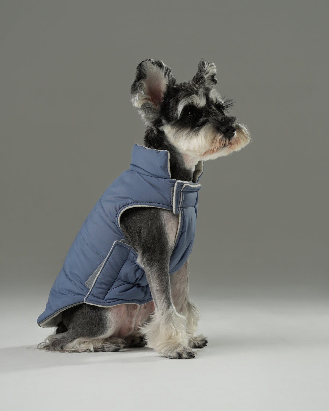 Reversible Dog Vest Jacket - Blue/White