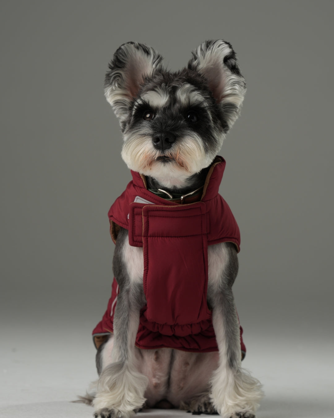 Reversible Dog Vest Jacket - Red/Brown