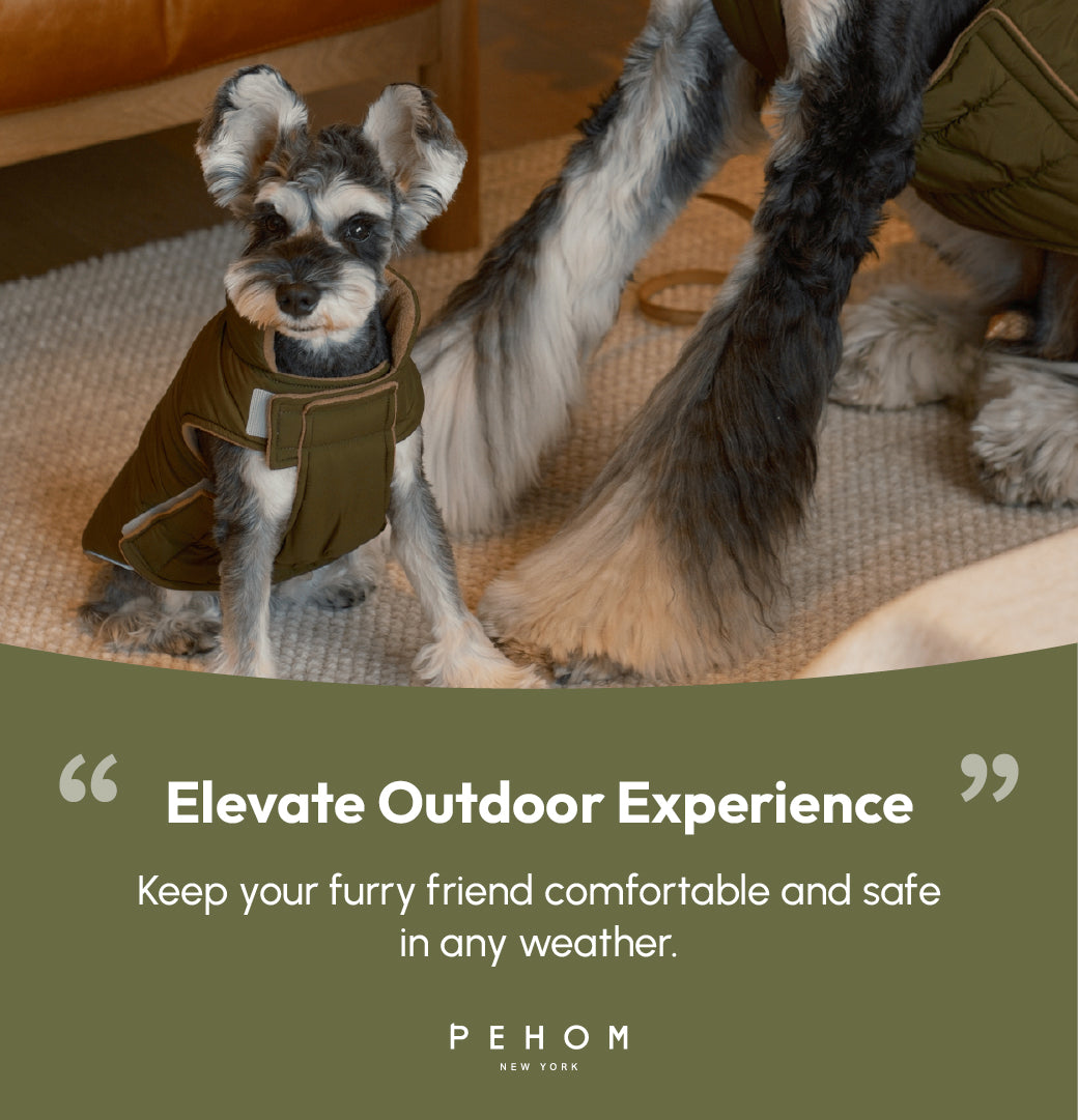 Reversible Dog Vest Jacket - Green/Brown