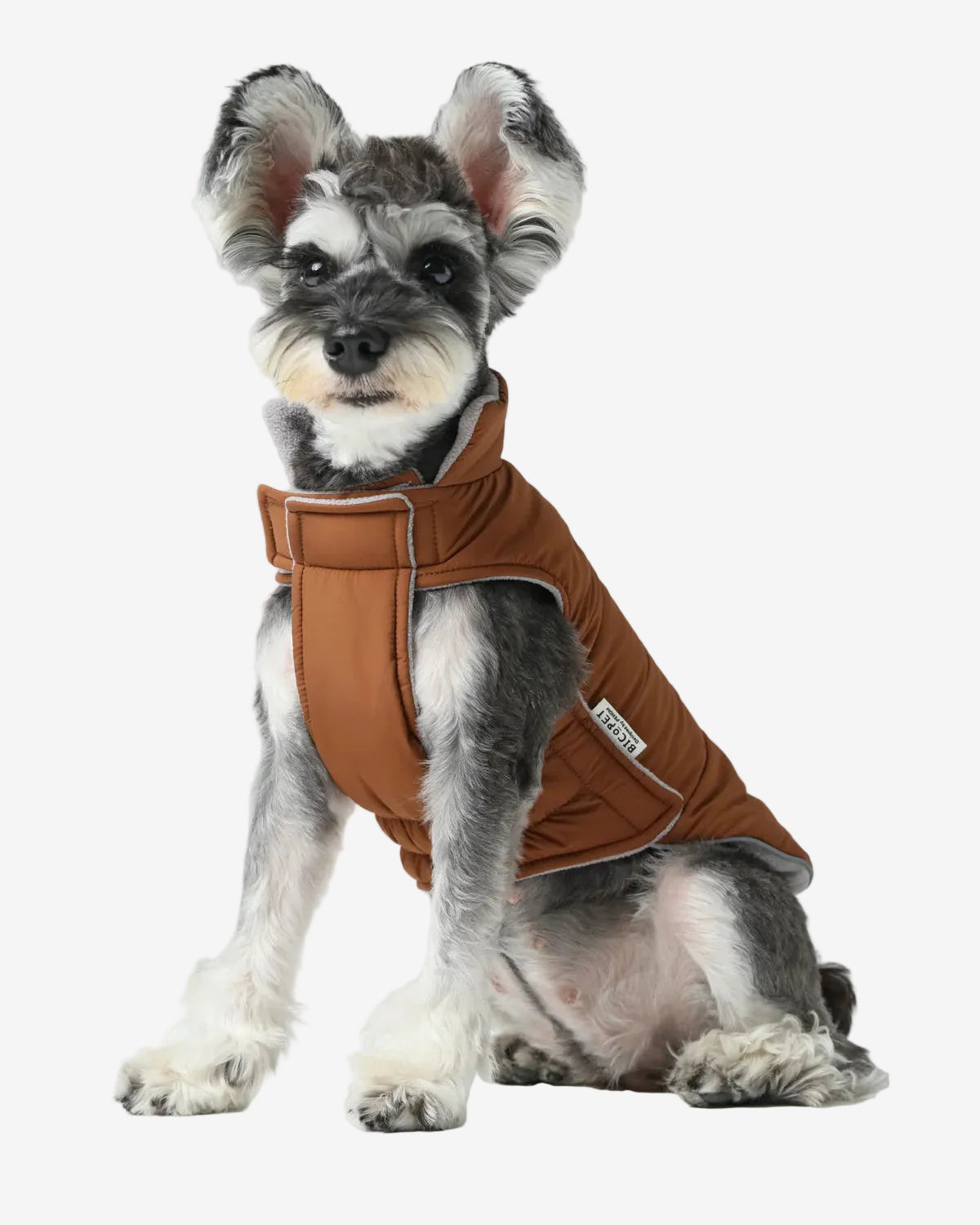 Dog wearing a brown puffer vest on a gray background