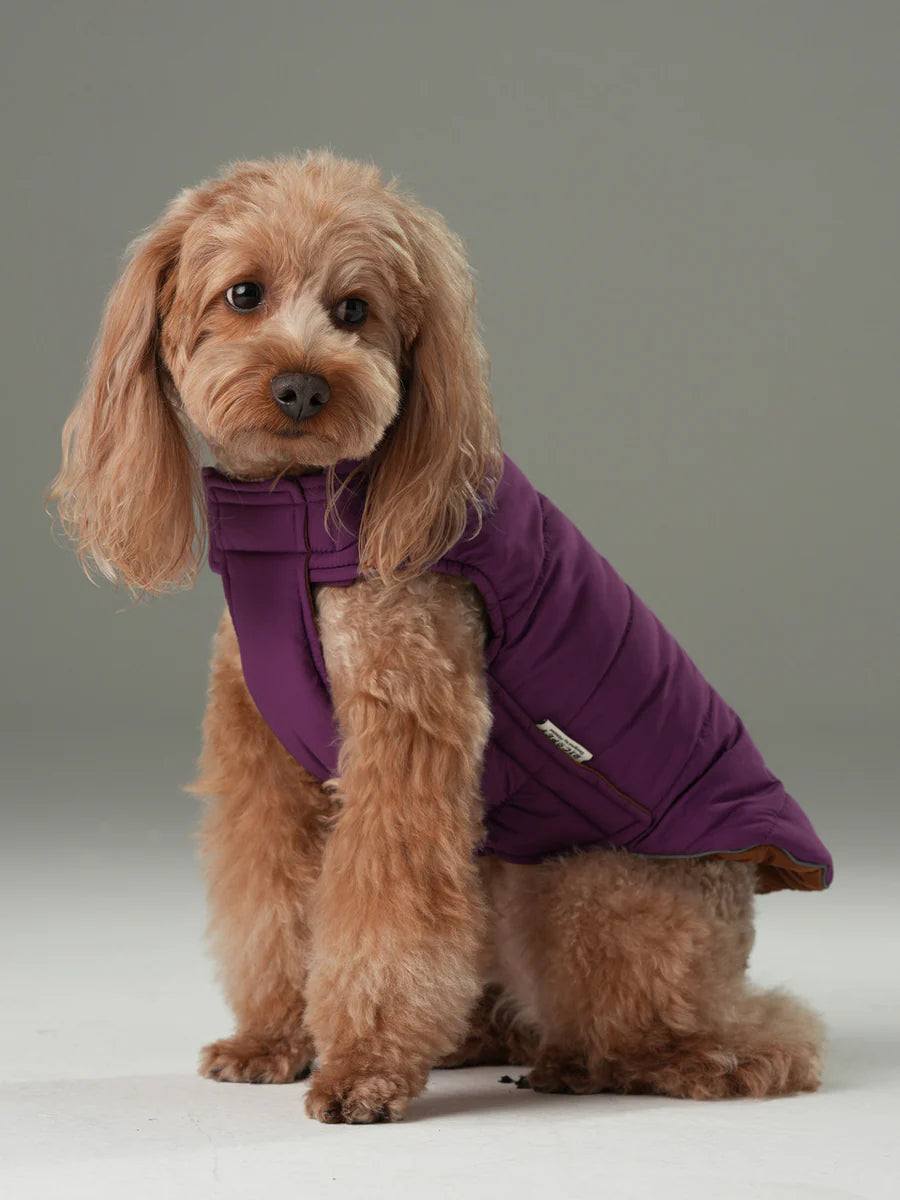 Reversible Dog Vest Jacket - Purple/Caramel