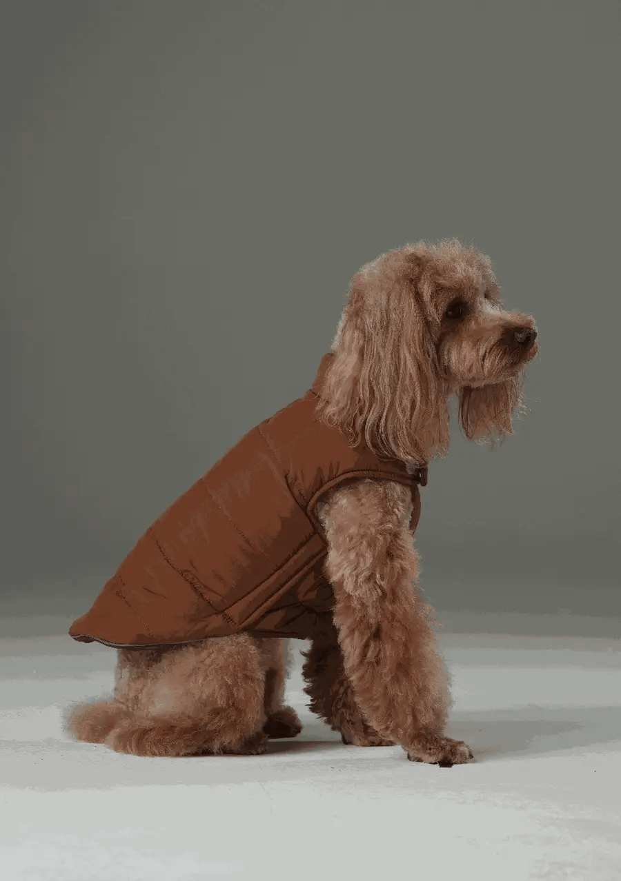Reversible Dog Vest Jacket - Purple/Caramel