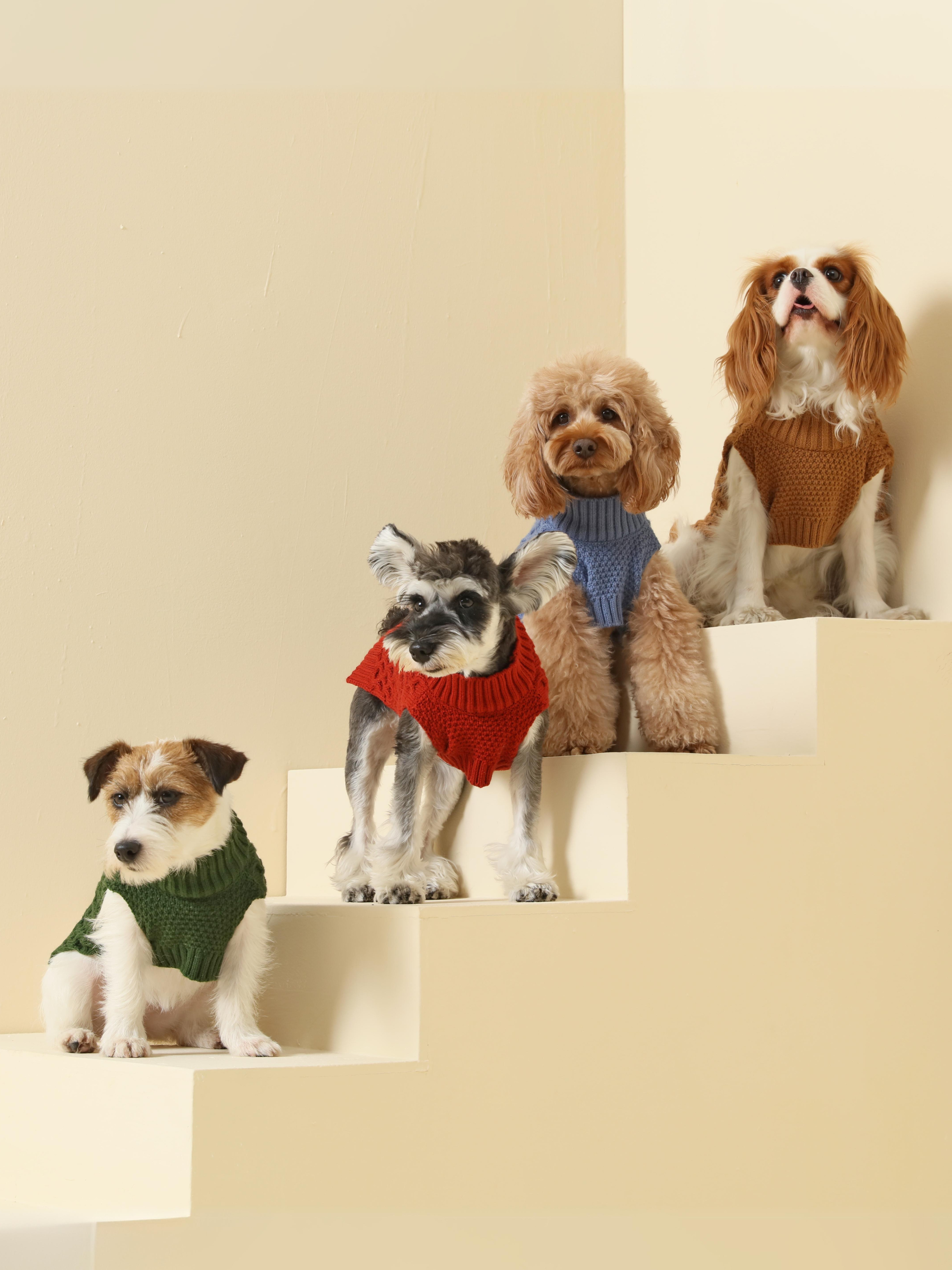 Royal Kintwear Pet Vest