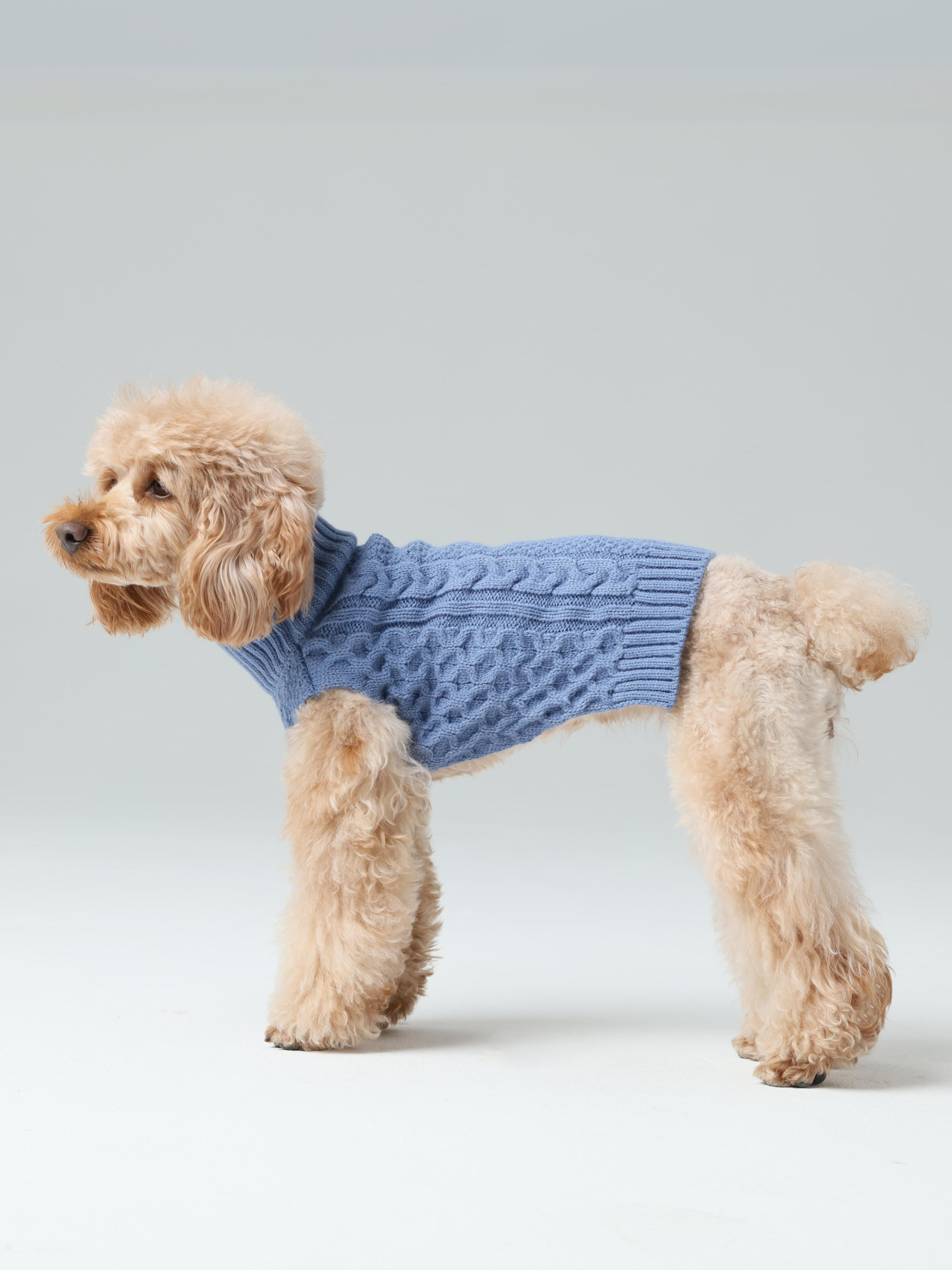 Royal Kintwear Pet Vest