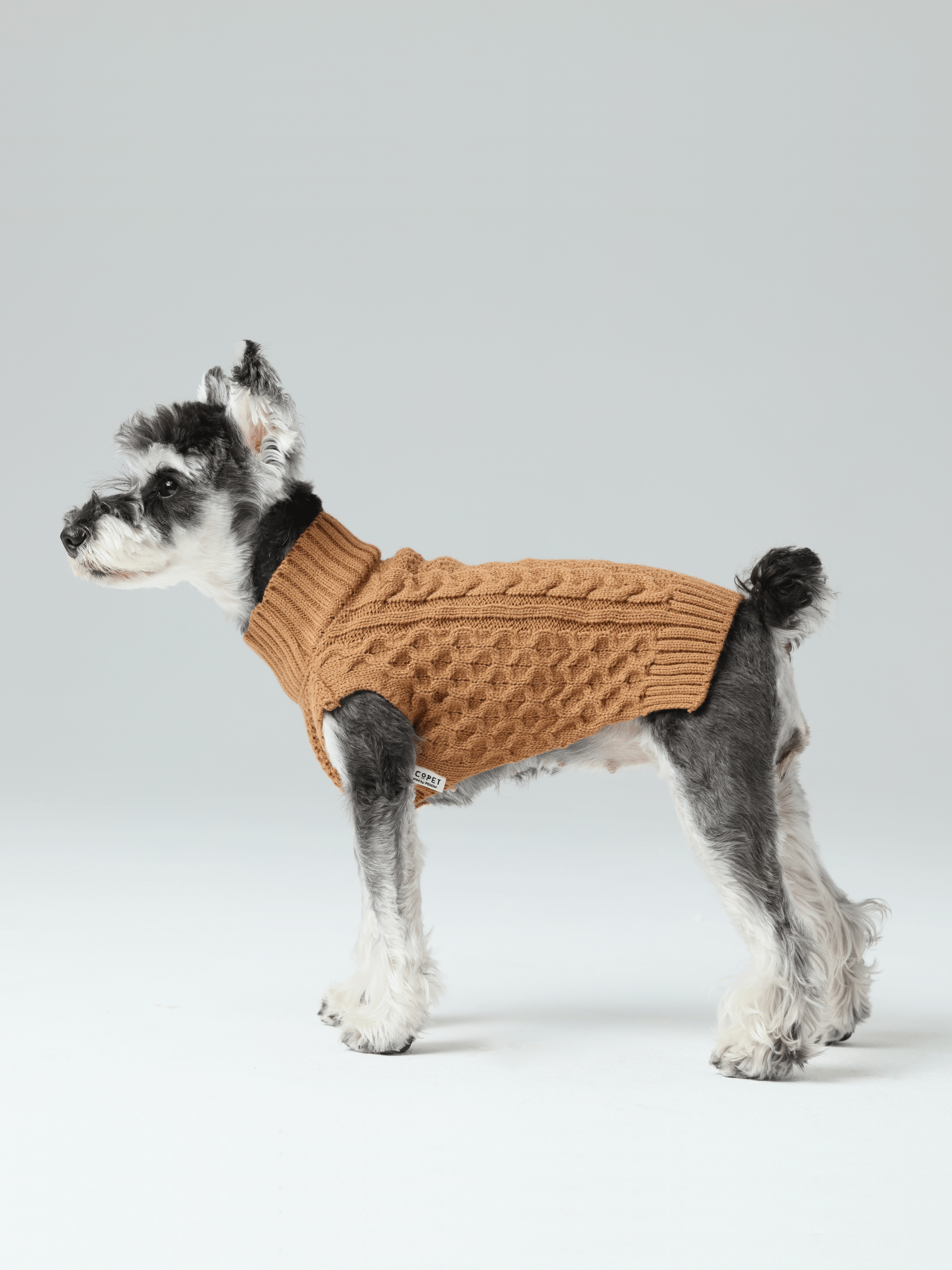 Royal Kintwear Pet Vest