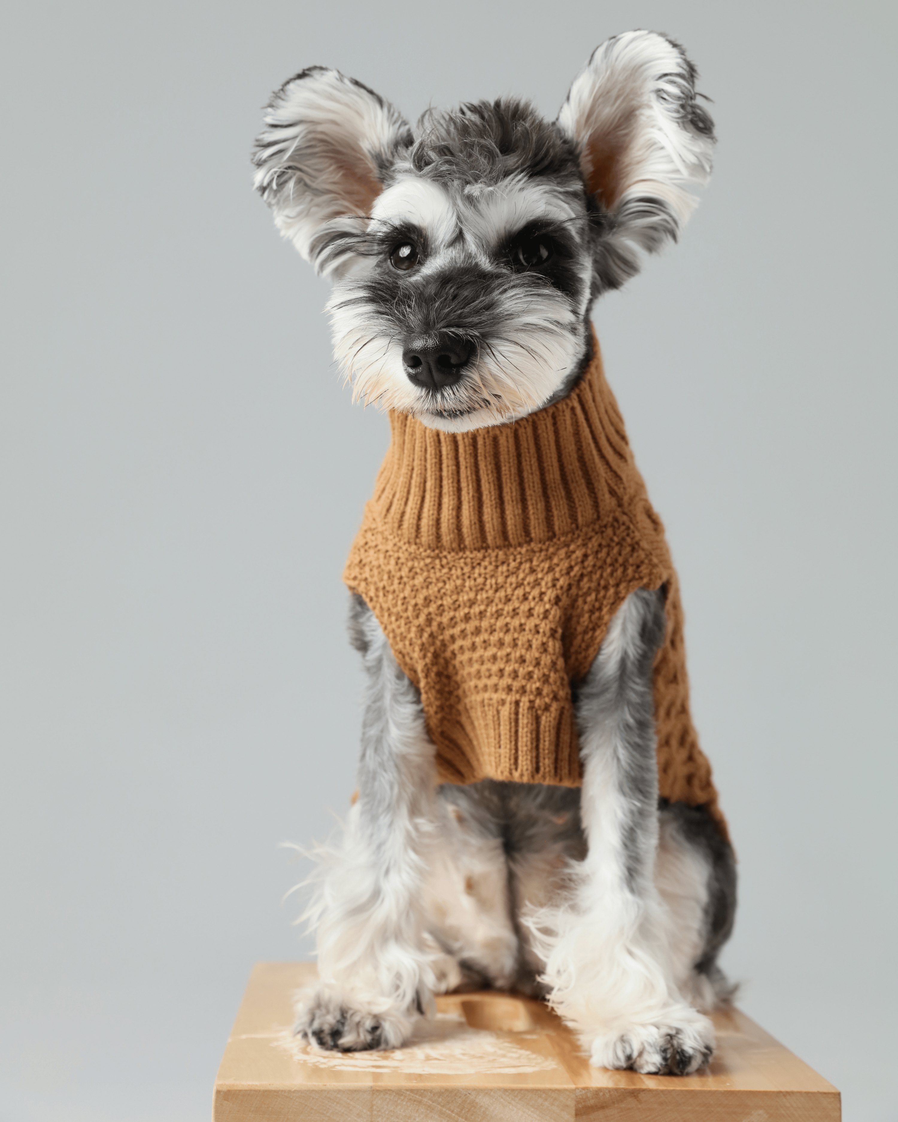 Royal Kintwear Pet Vest - Brown