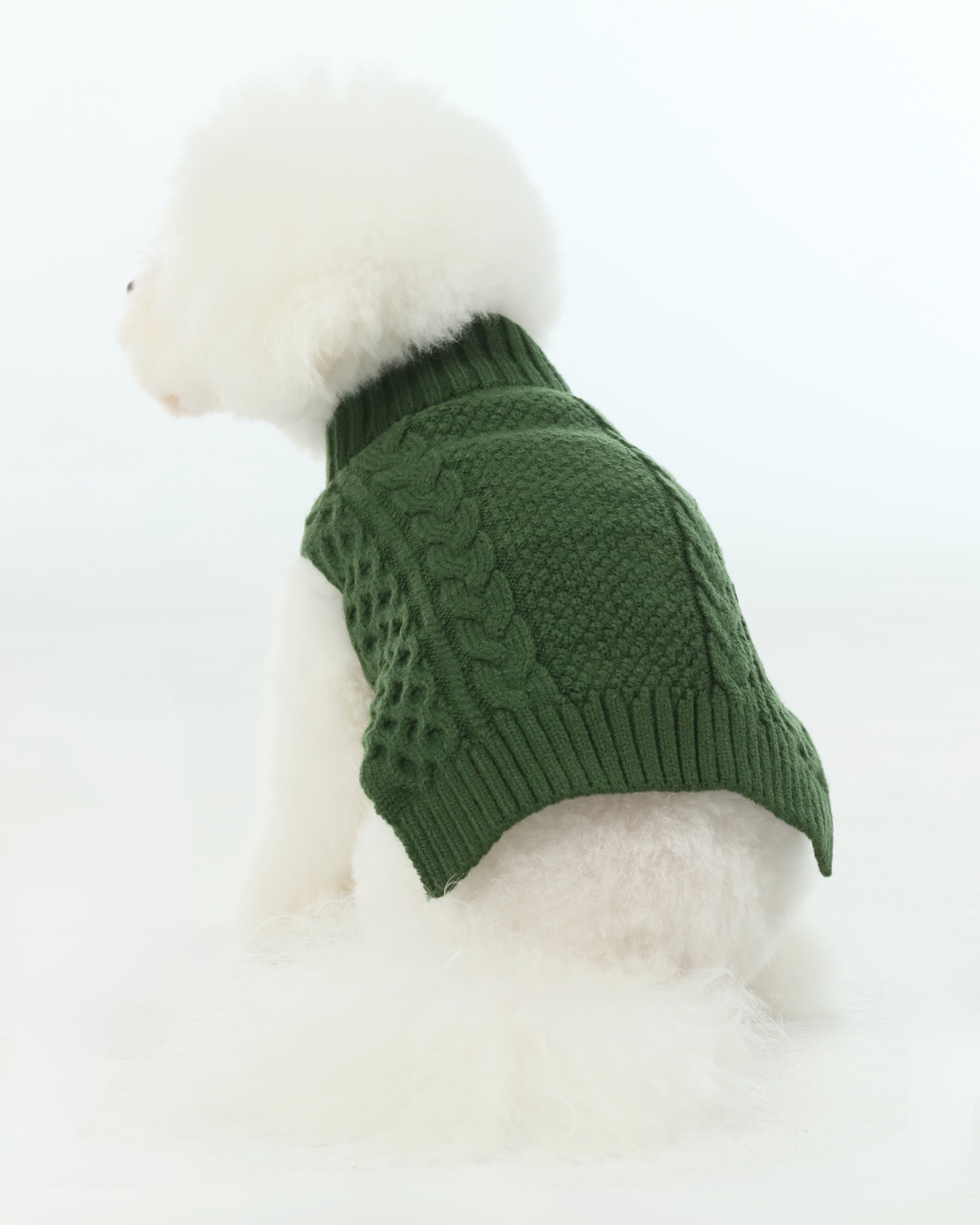 Royal Kintwear Pet Vest - Green