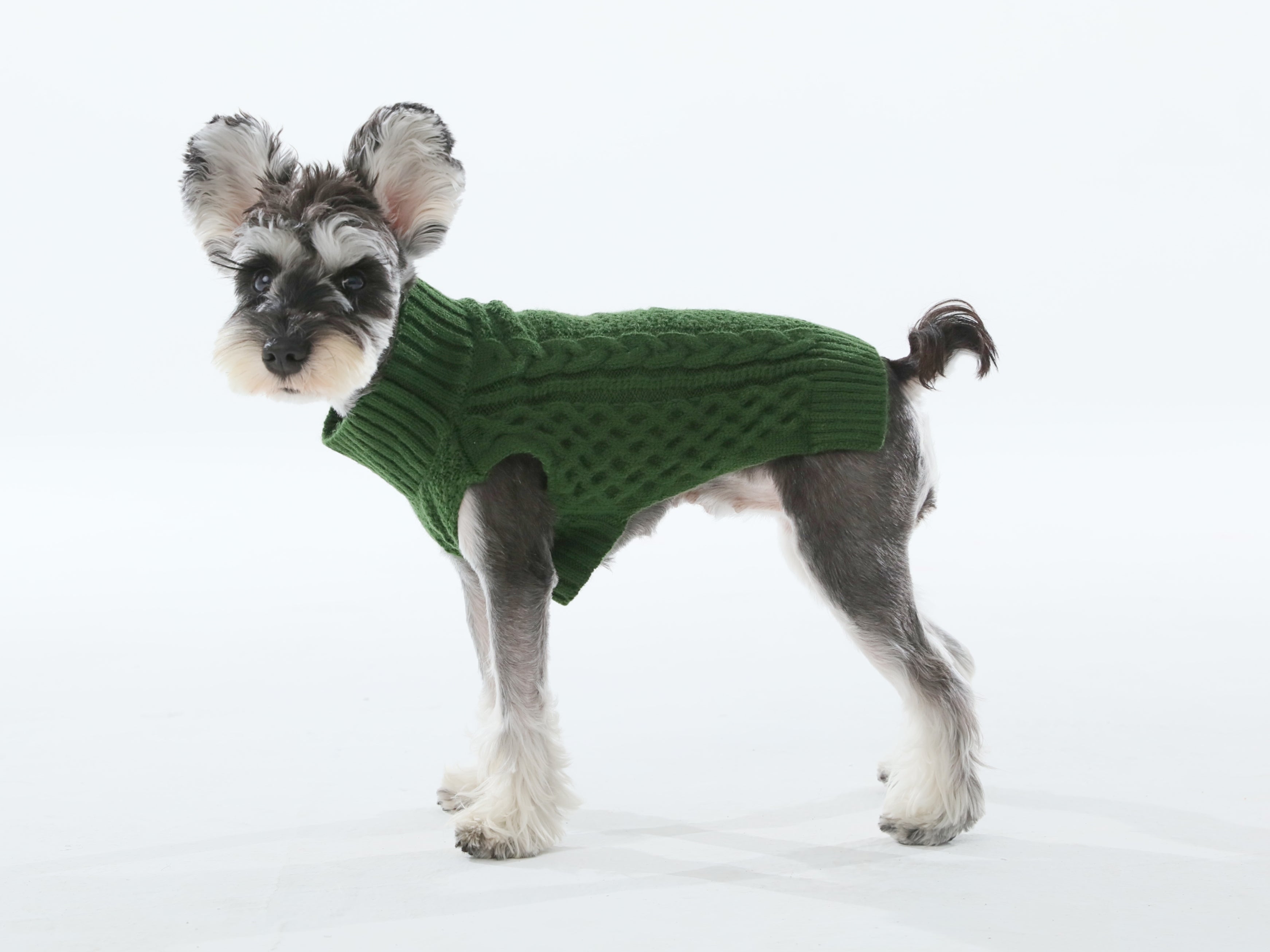 Royal Kintwear Pet Vest