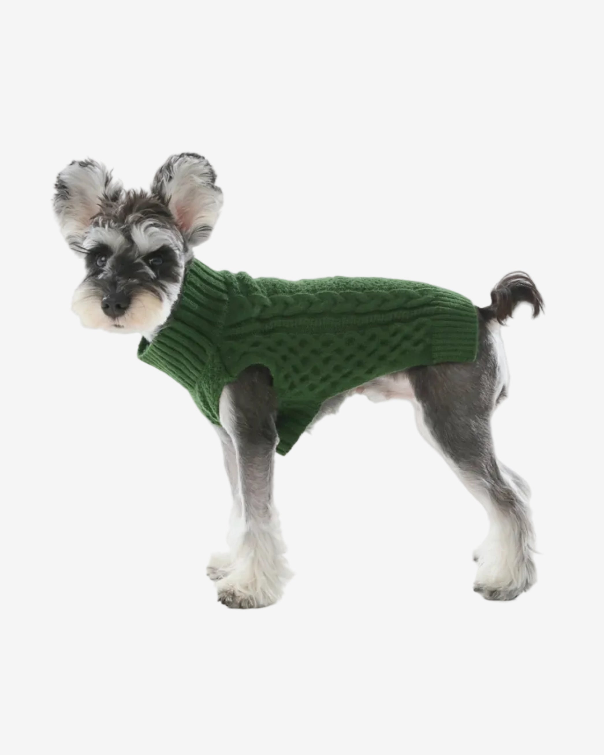 Royal Kintwear Pet Vest - Green