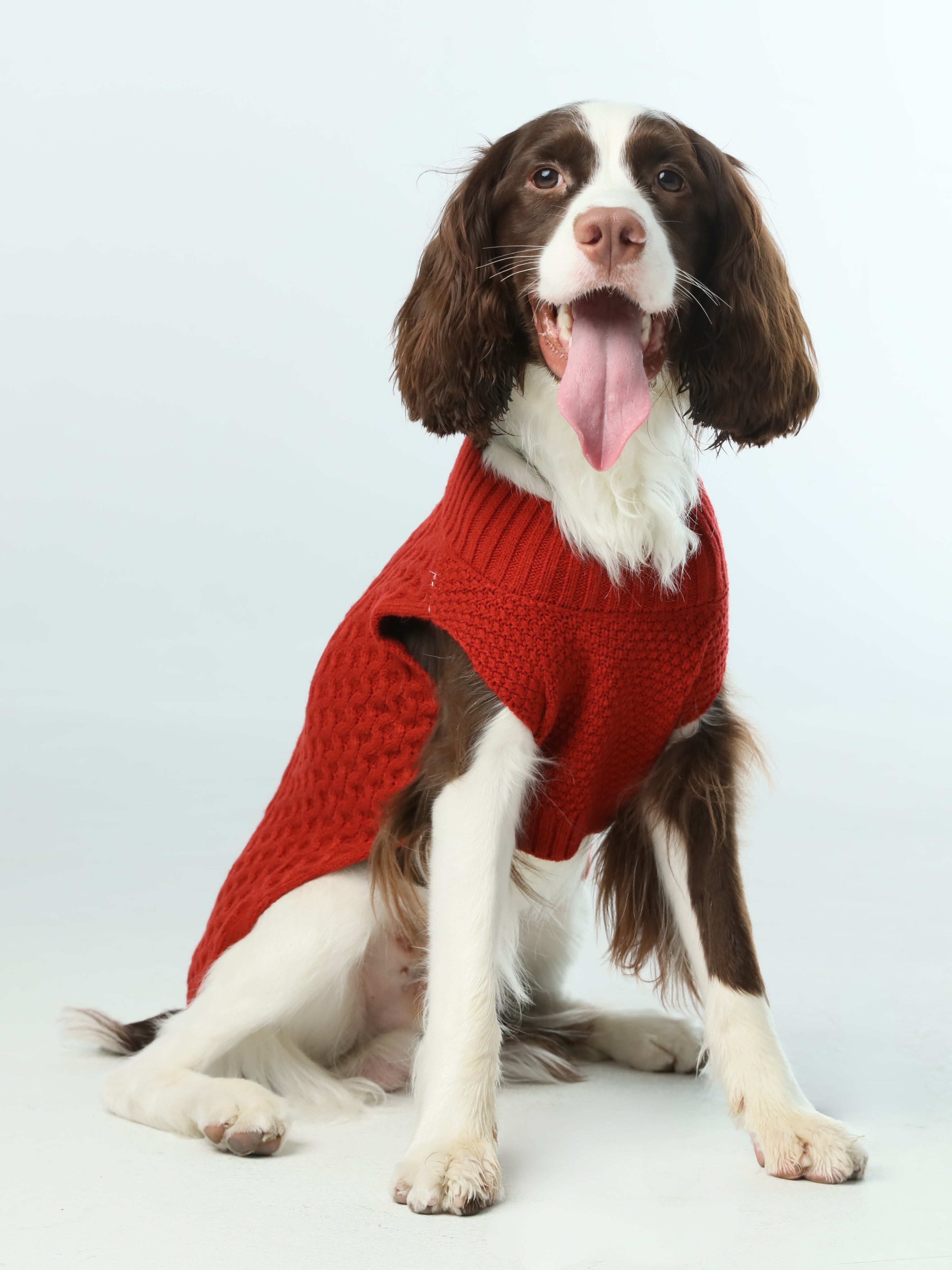 Royal Kintwear Pet Vest